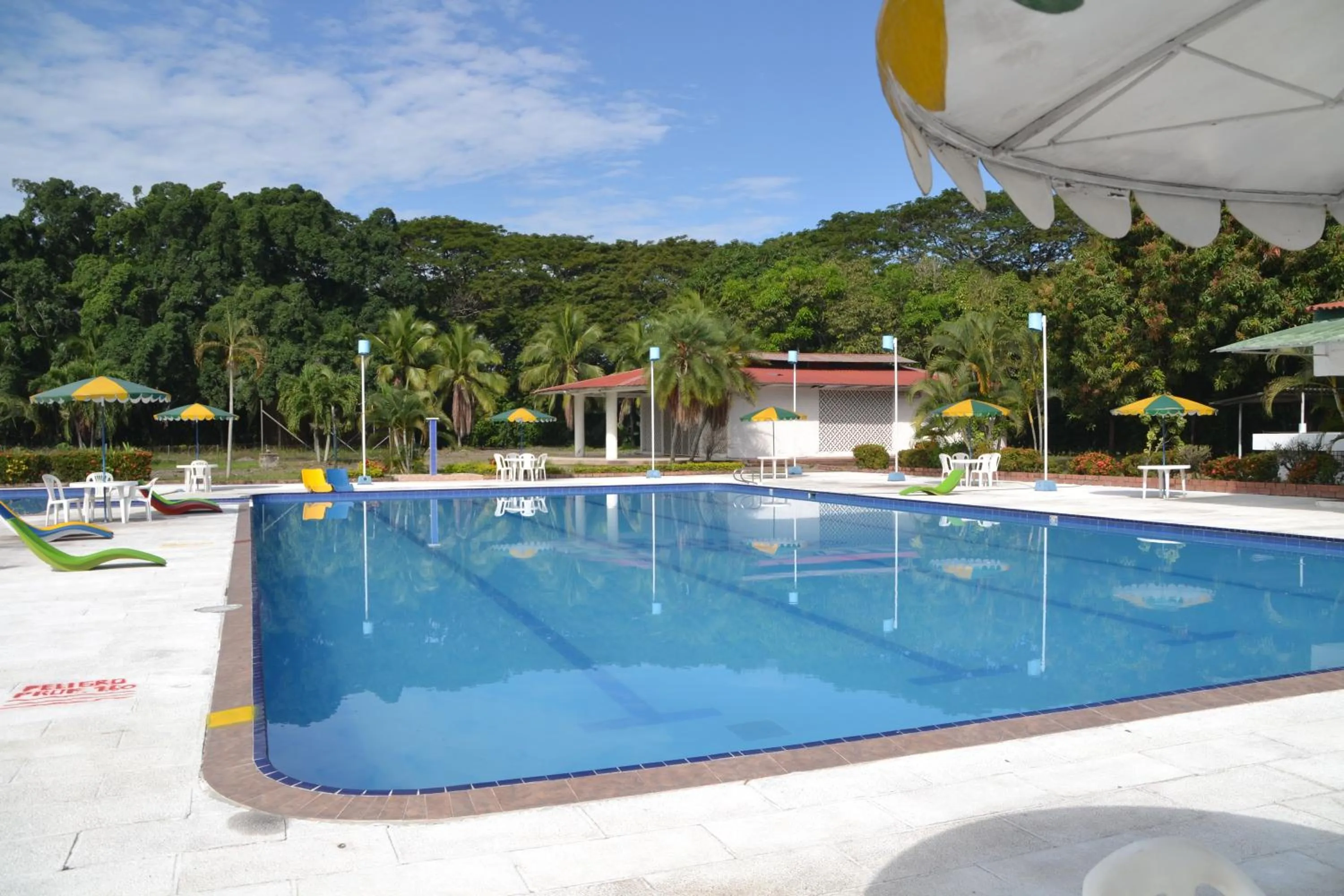 Swimming pool in Hotel Albatros