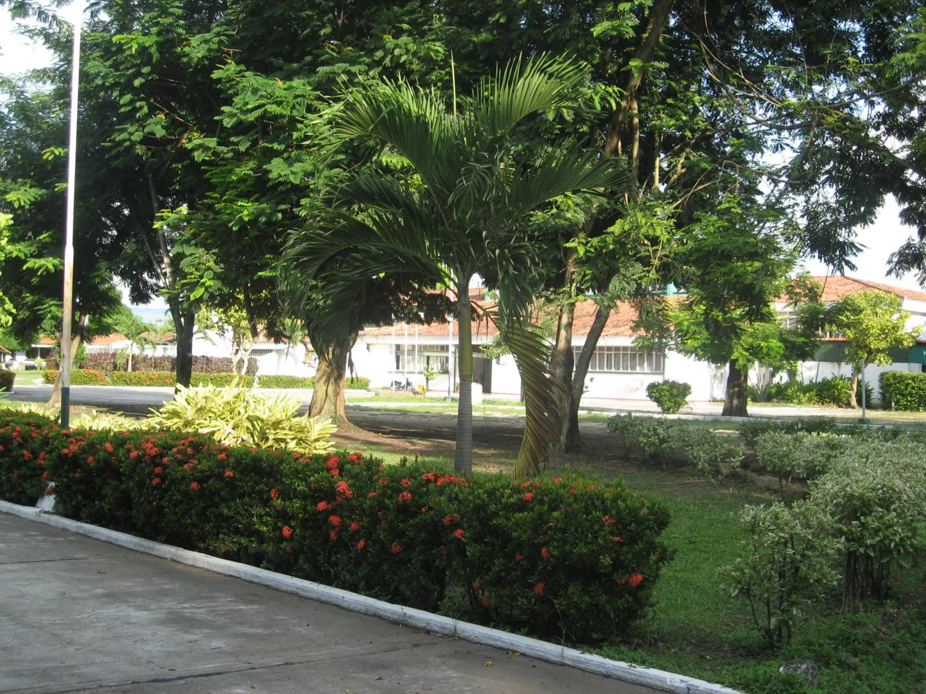 Garden in Hotel Albatros