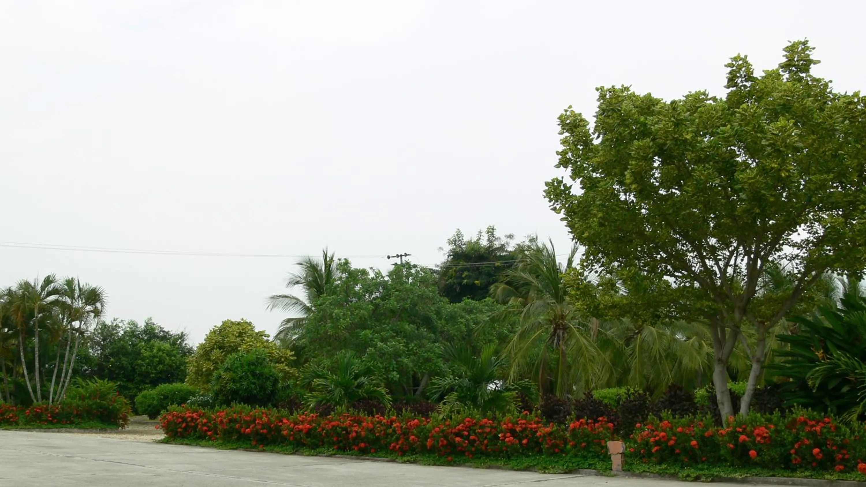 Natural landscape in Hotel Albatros