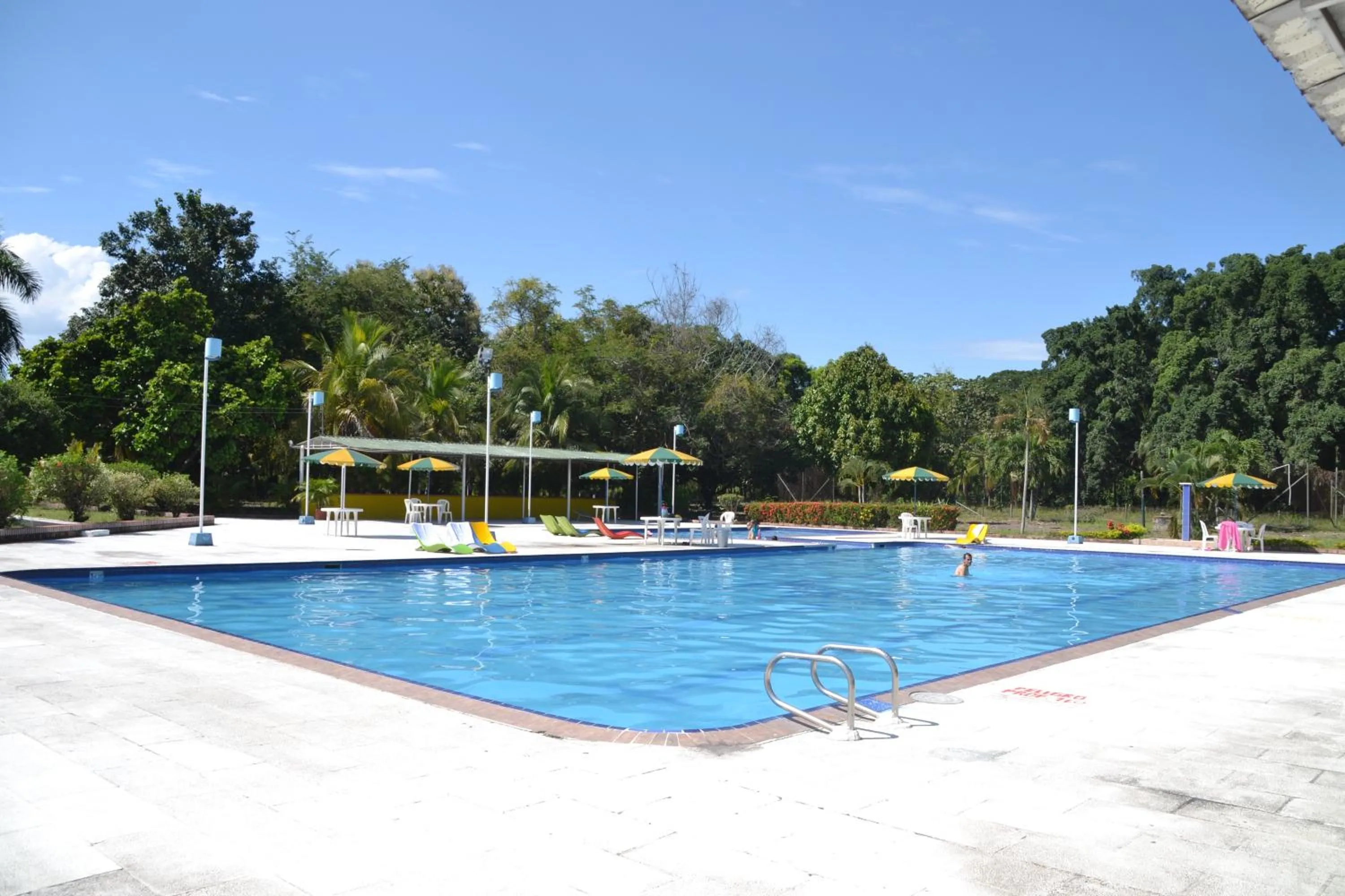 Swimming pool in Hotel Albatros