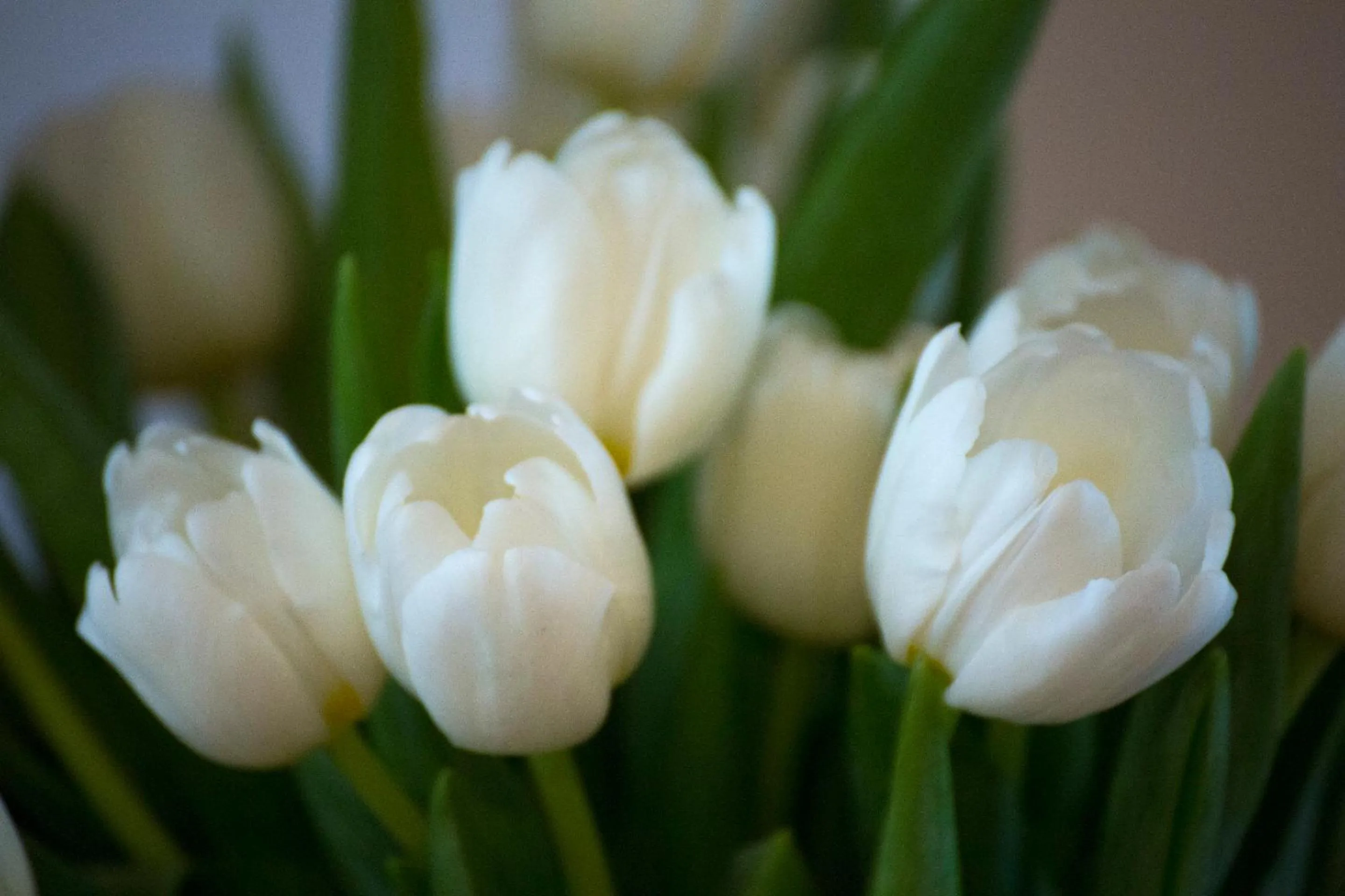 Convento San Bernardino