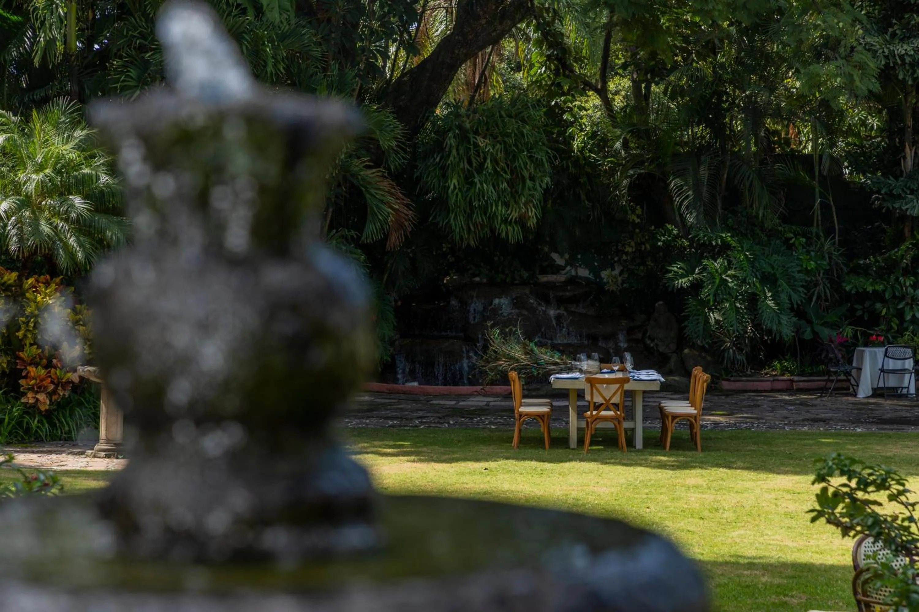 Garden view in Hotel Boutique Casa de Campo