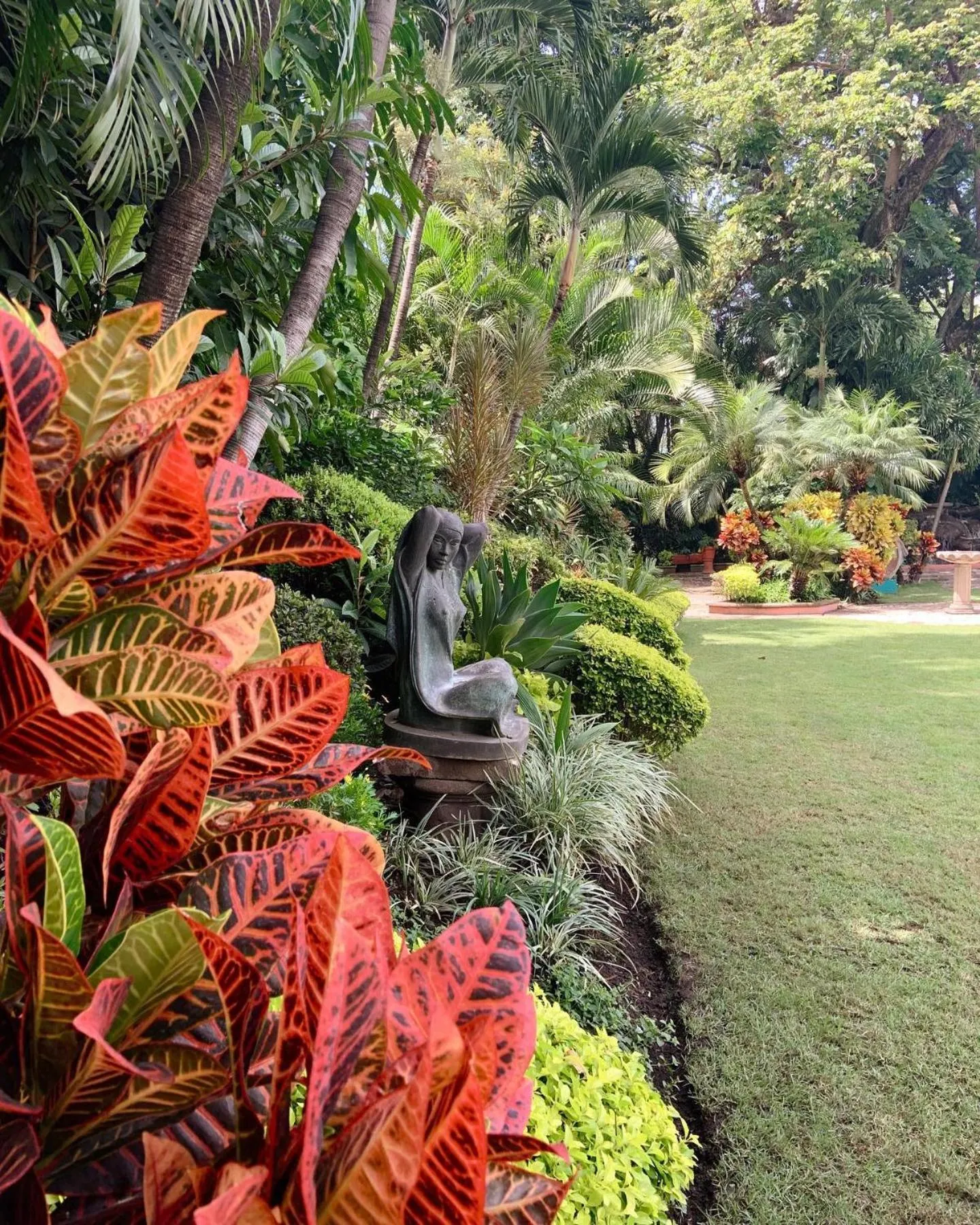Garden in Hotel Boutique Casa de Campo