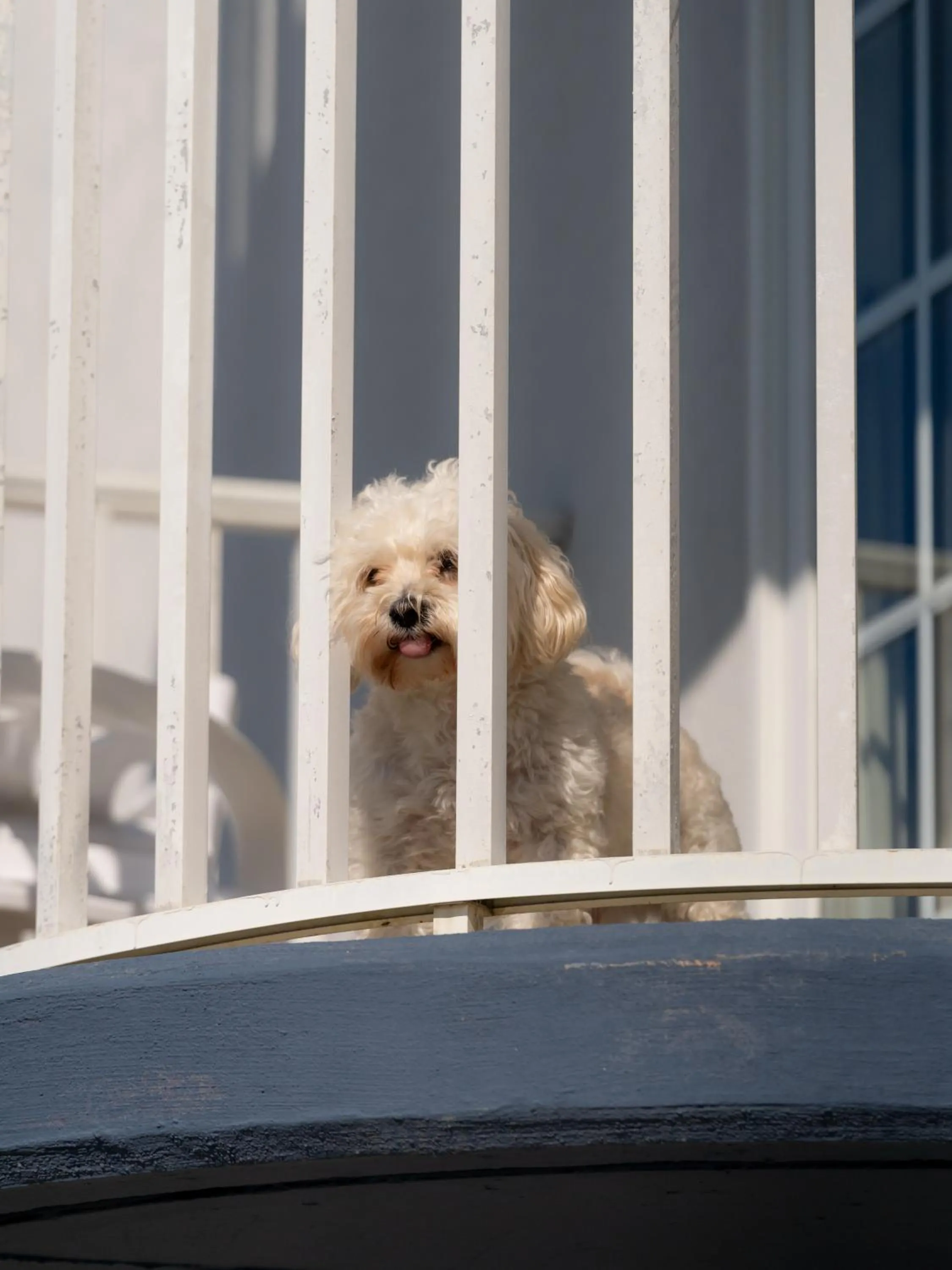 Balcony/Terrace in Paradise Plaza Inn