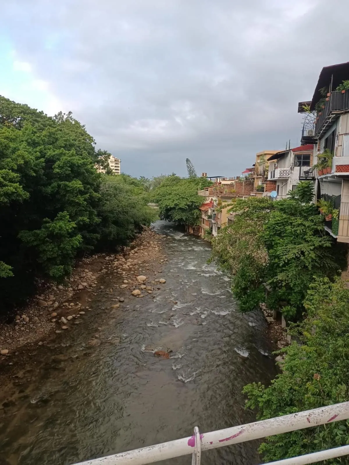 Natural landscape in Hotel Ana Liz