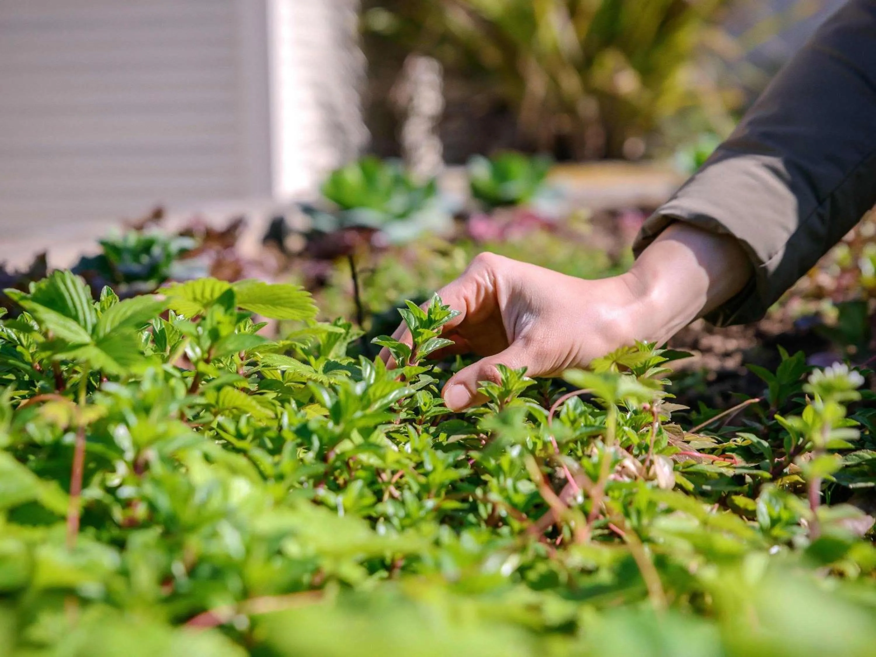 Property building in Novotel Porto Gaia