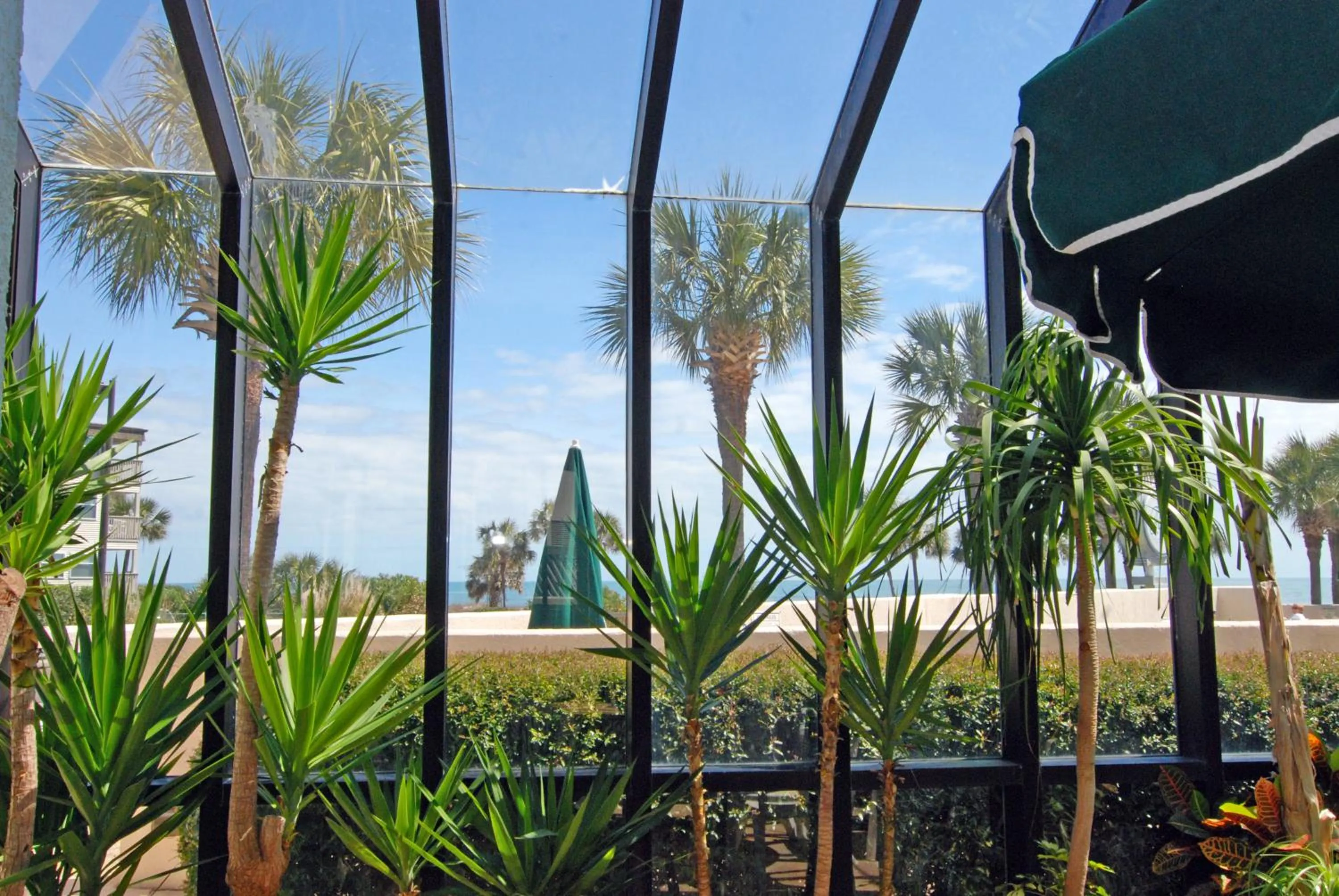 Facade/entrance in Ocean Forest Plaza by Palmetto Vacations