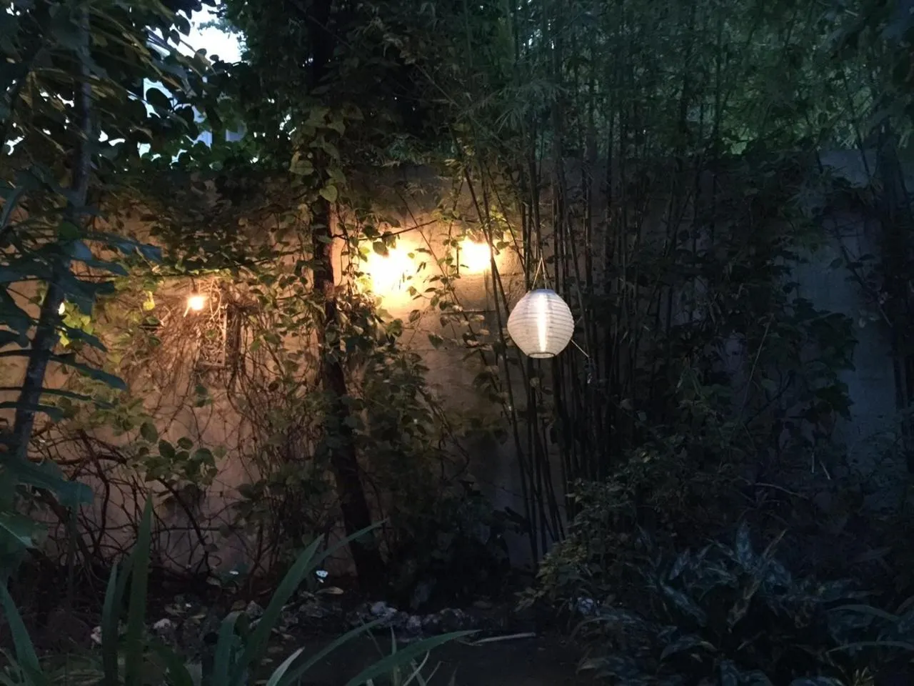 Garden in The Wild Rose