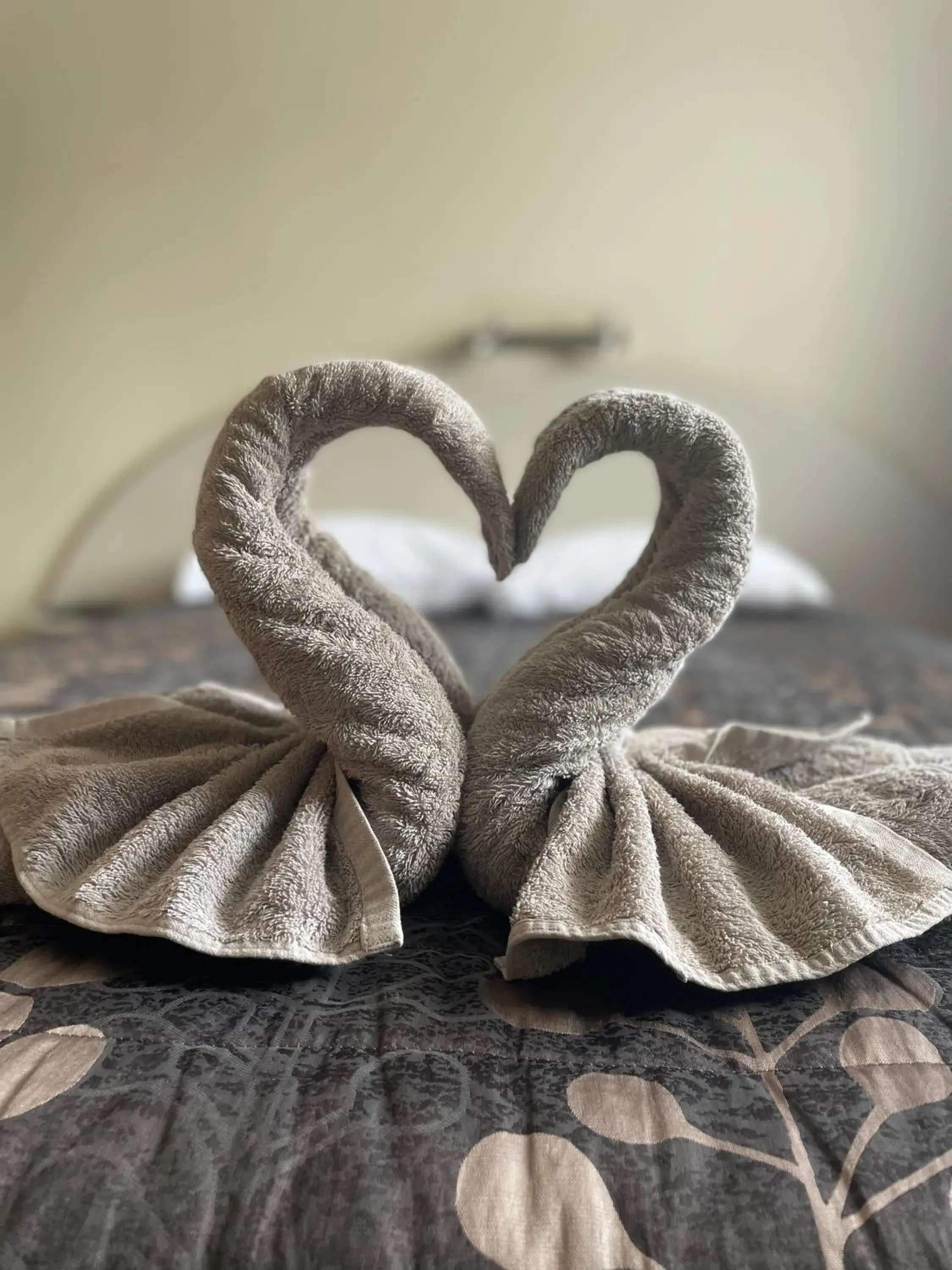 Deluxe Double Room in Alexandra Motor Lodge NZ Deluxe Double Room in Alexandra Motor Lodge NZ