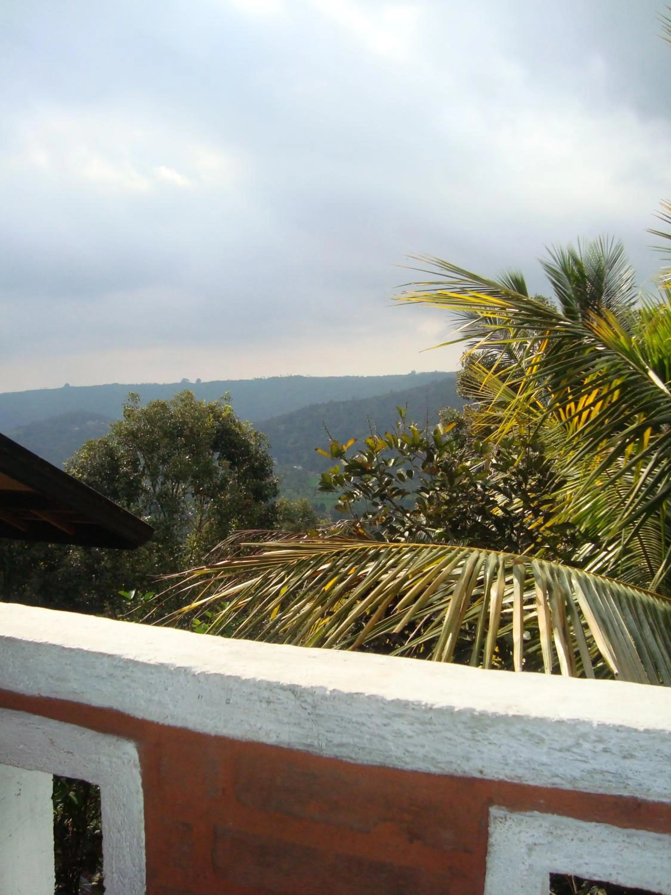 View (from property/room) in Taman Ayu Homestay Munduk Mitra RedDoorz