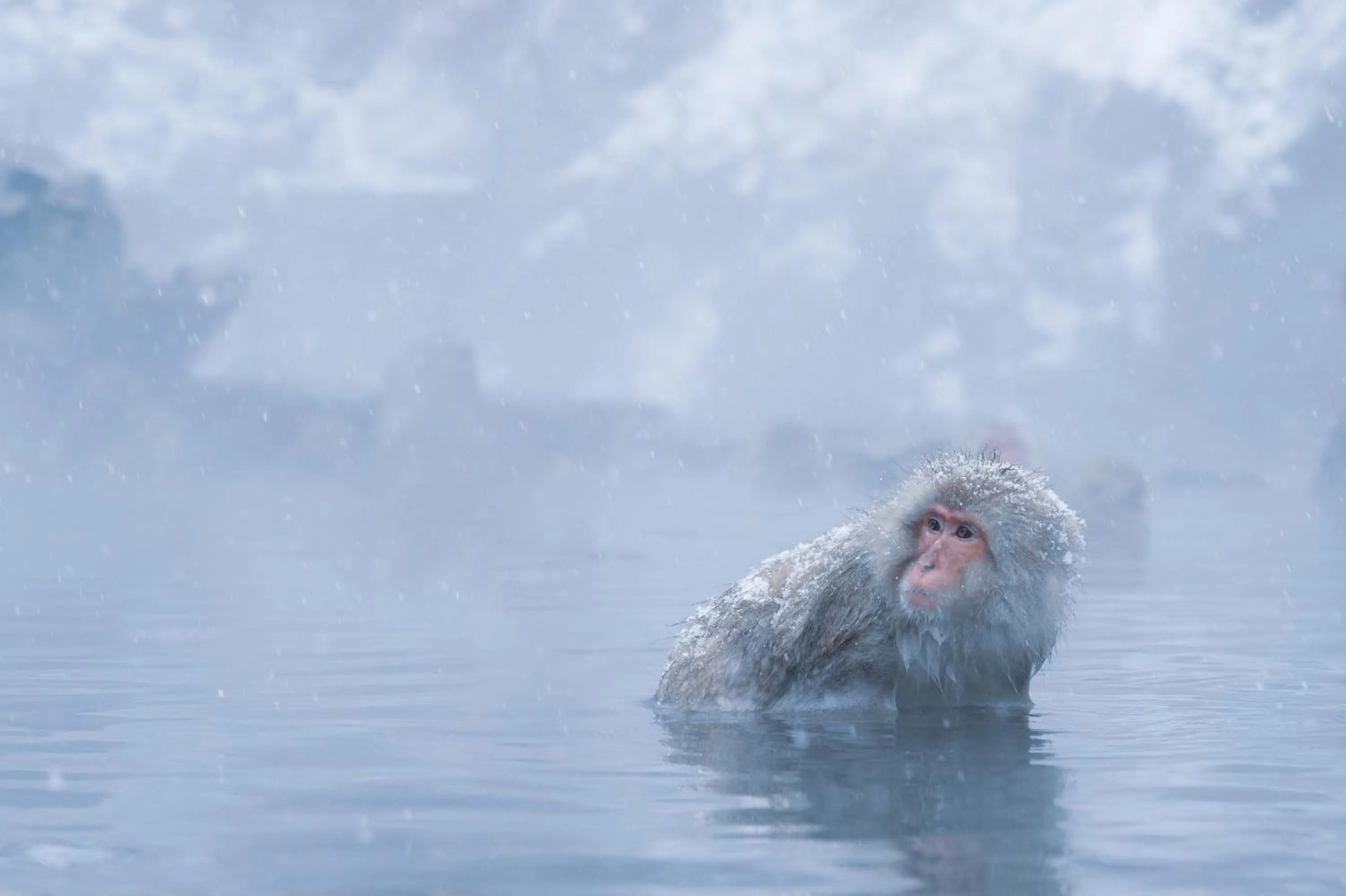 Nearby landmark in Suminoyu