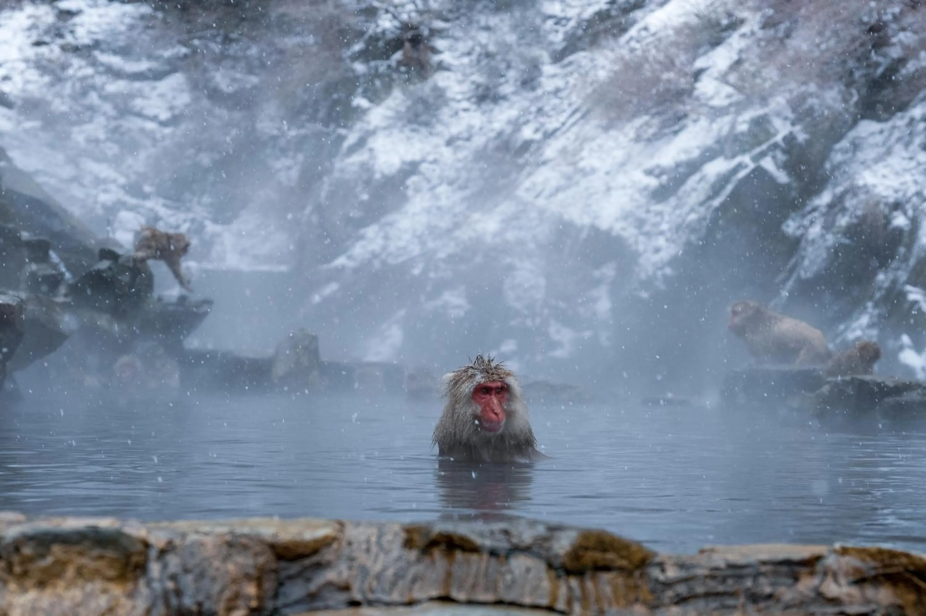 Nearby landmark in Suminoyu