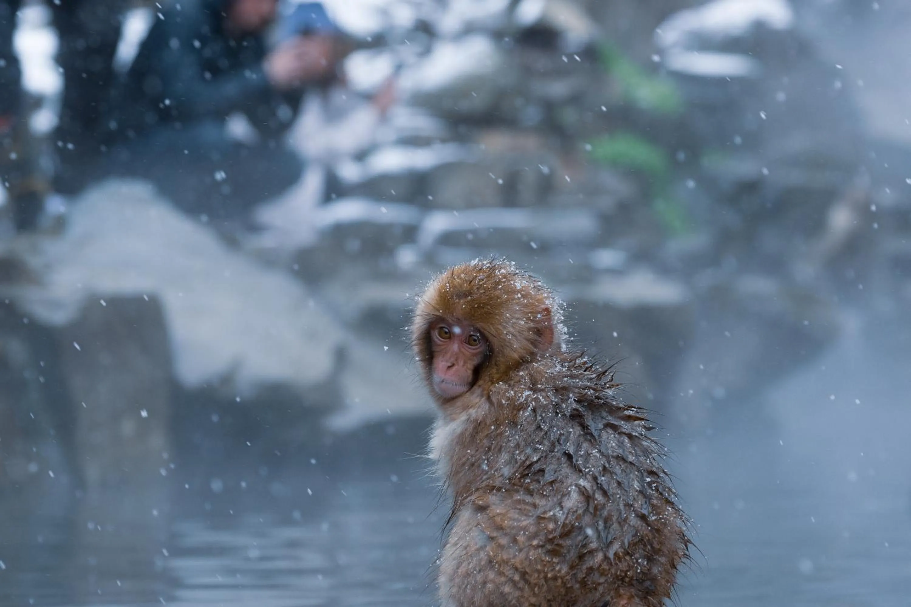 Nearby landmark in Suminoyu