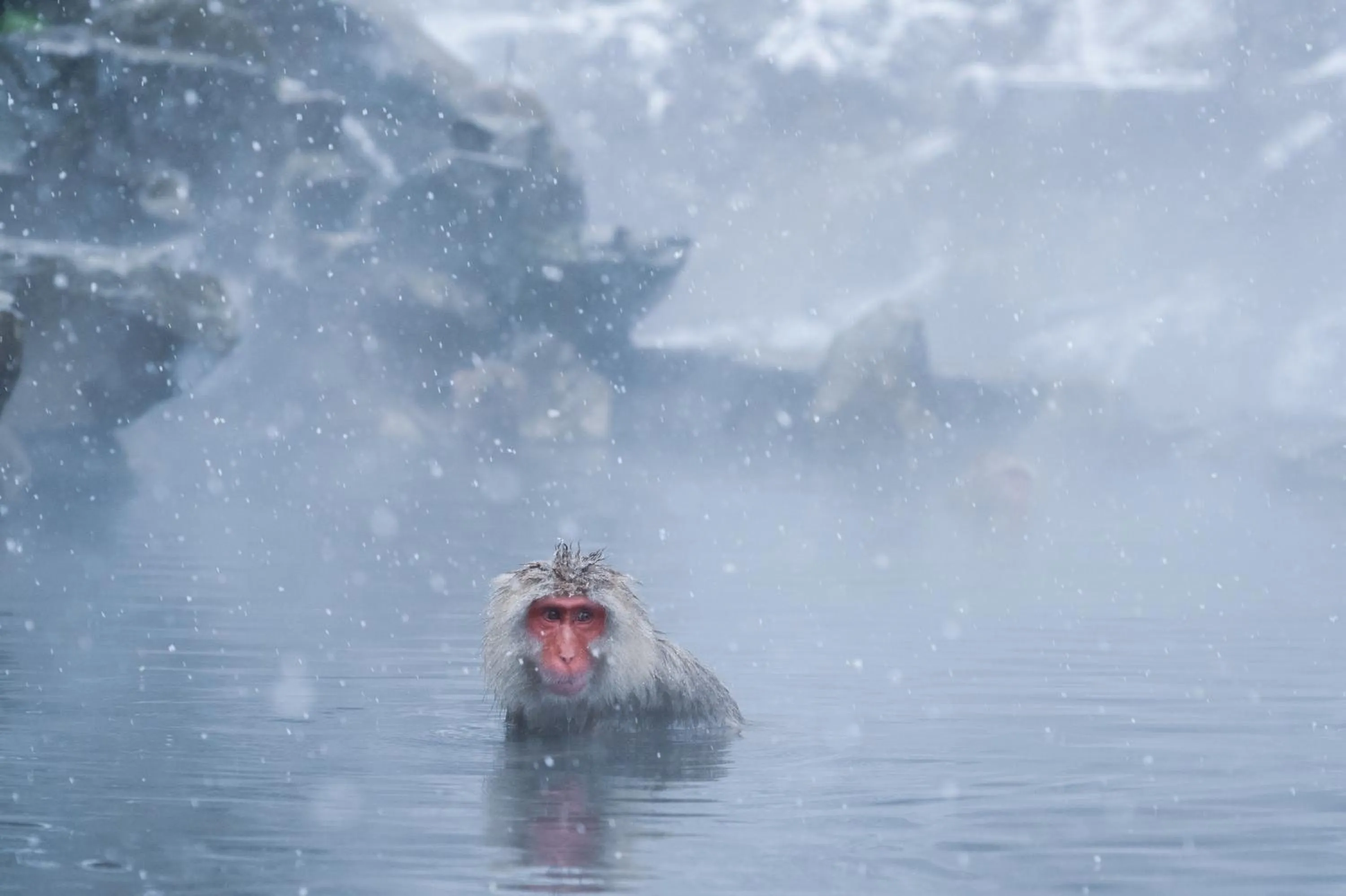 Nearby landmark in Suminoyu