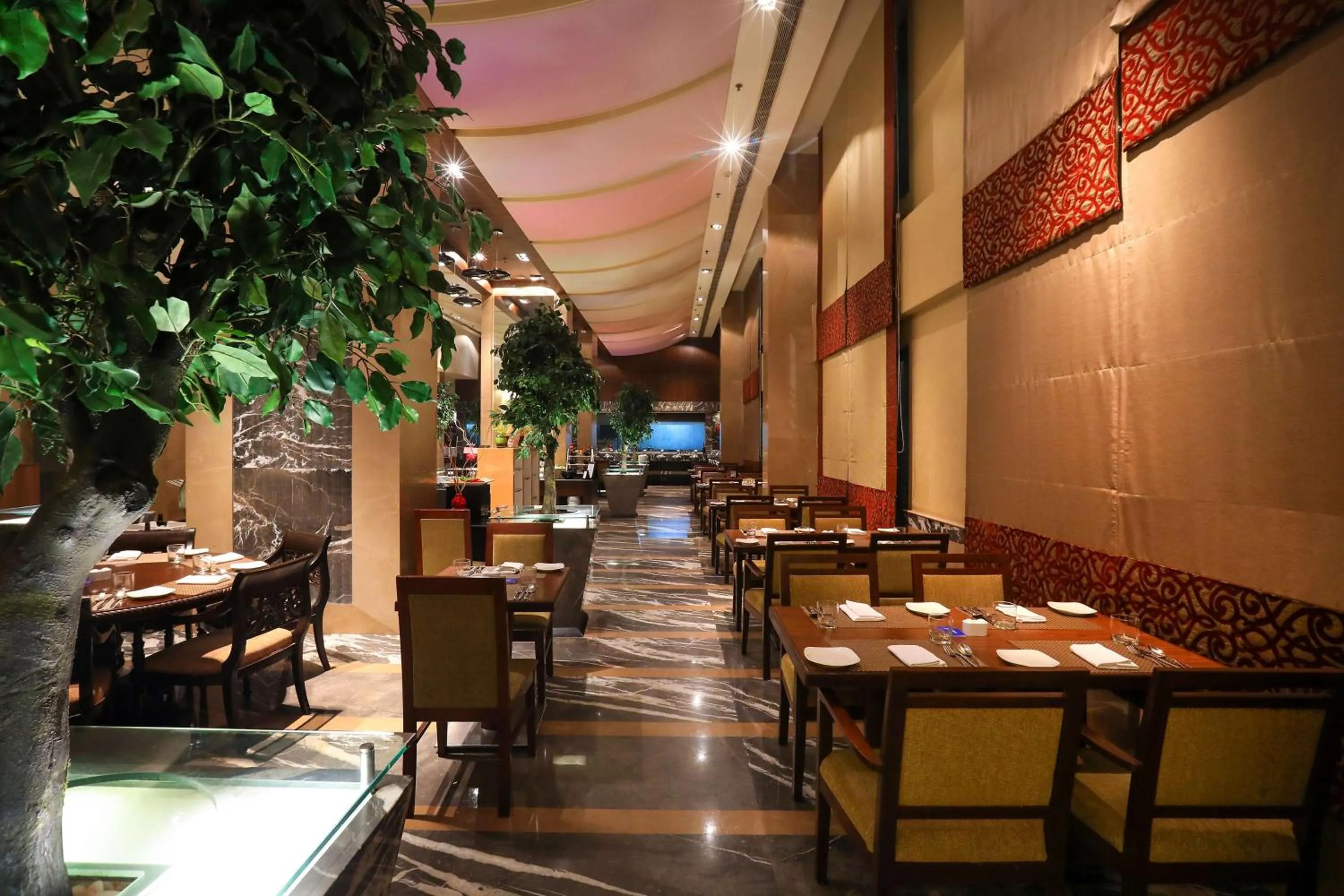 Restaurant/places to eat in Radisson Blu Hotel Chennai City Centre