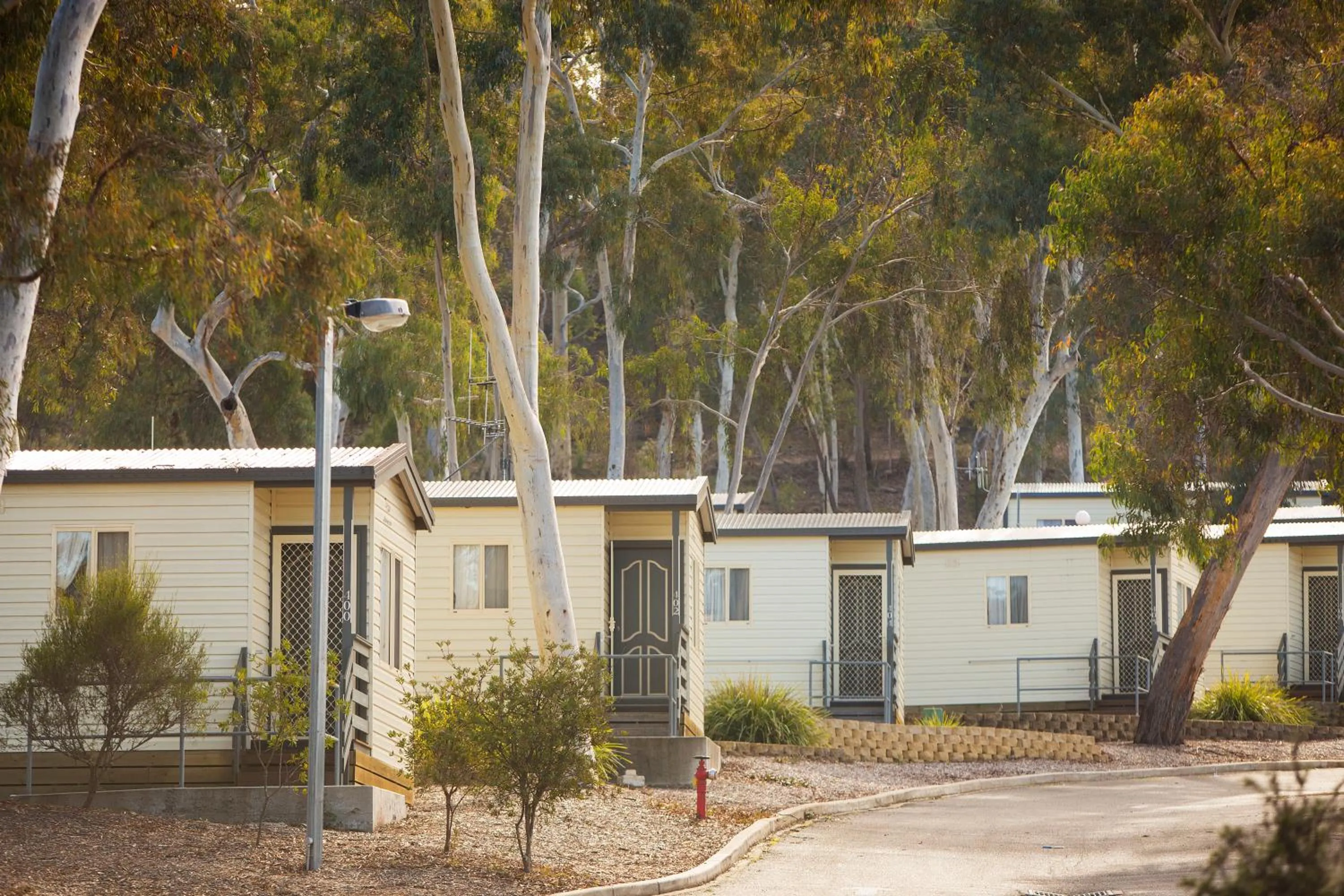 Natural landscape in Alivio Tourist Park Canberra