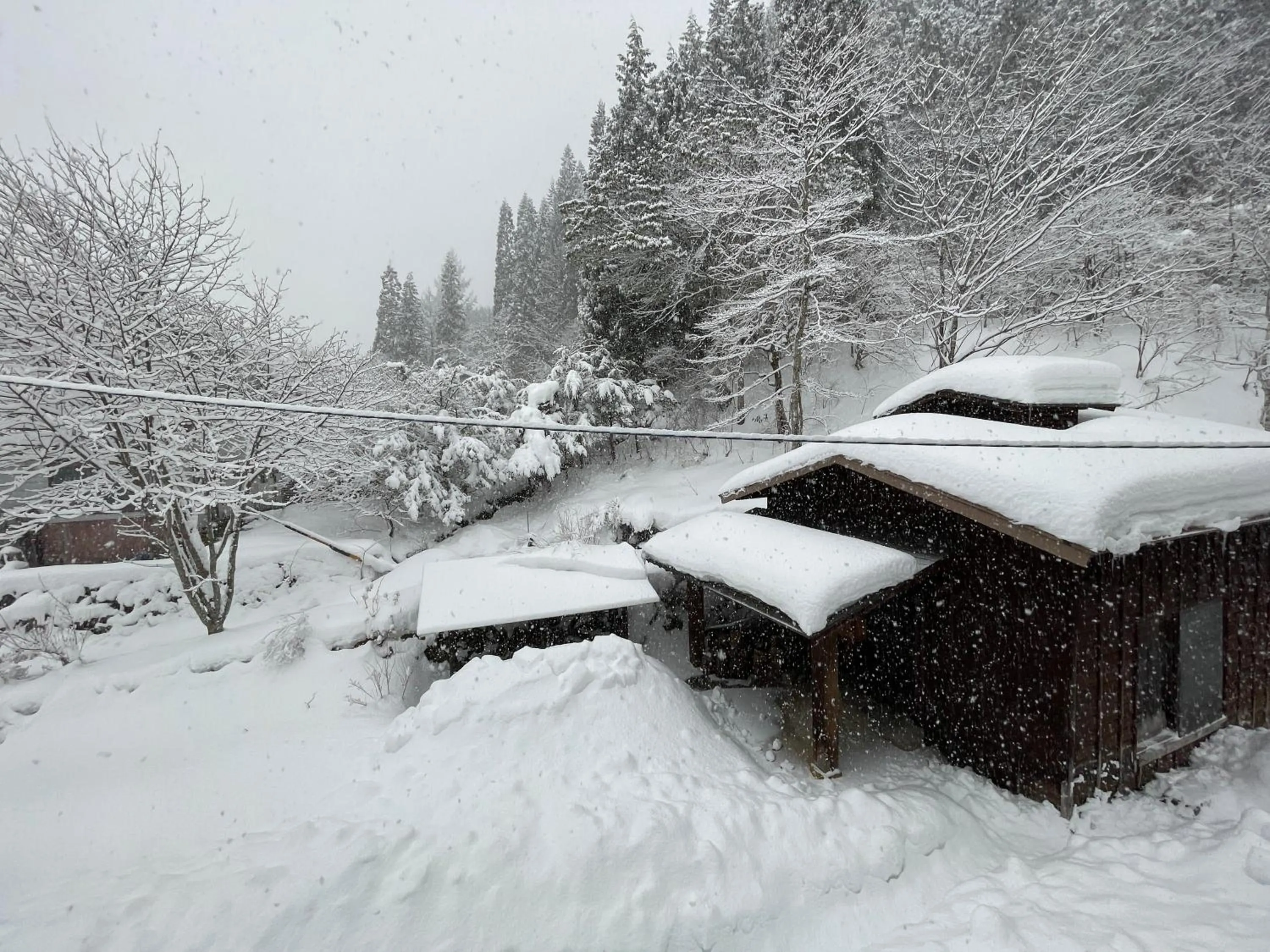 Natural landscape in Suisensou