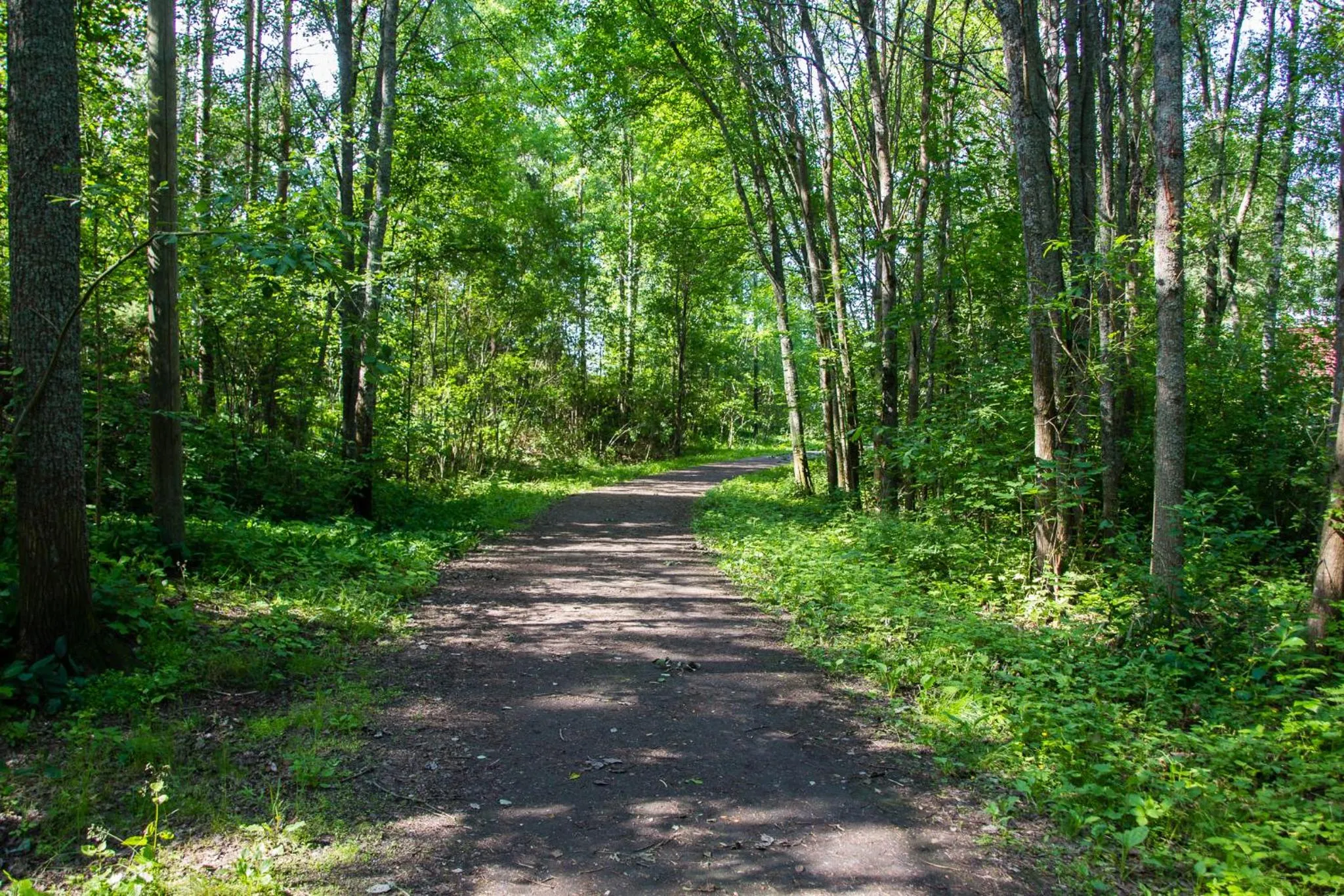 Natural landscape in Hostel Linnasmäki