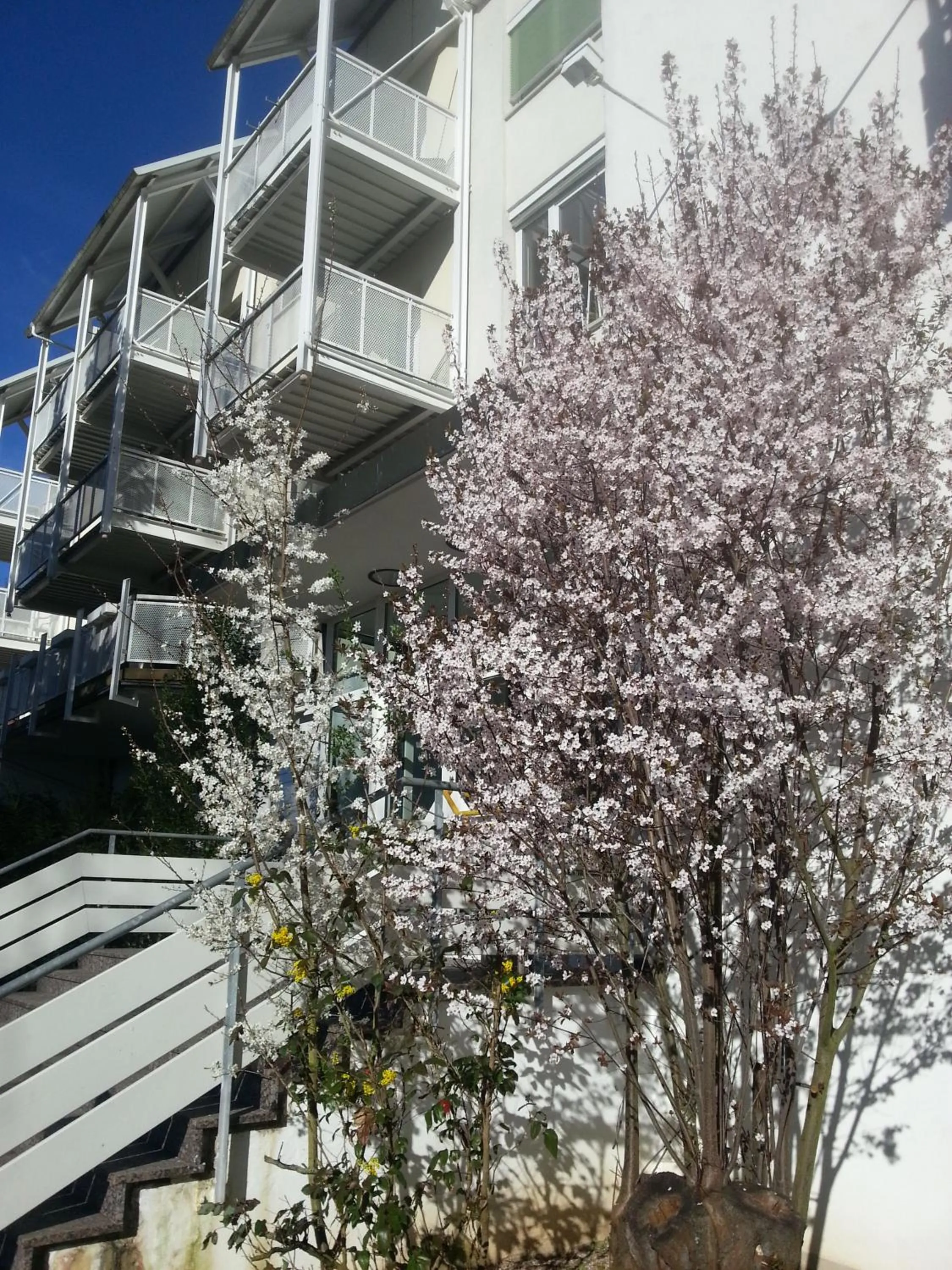 Property building in Vitalhotel König am Park