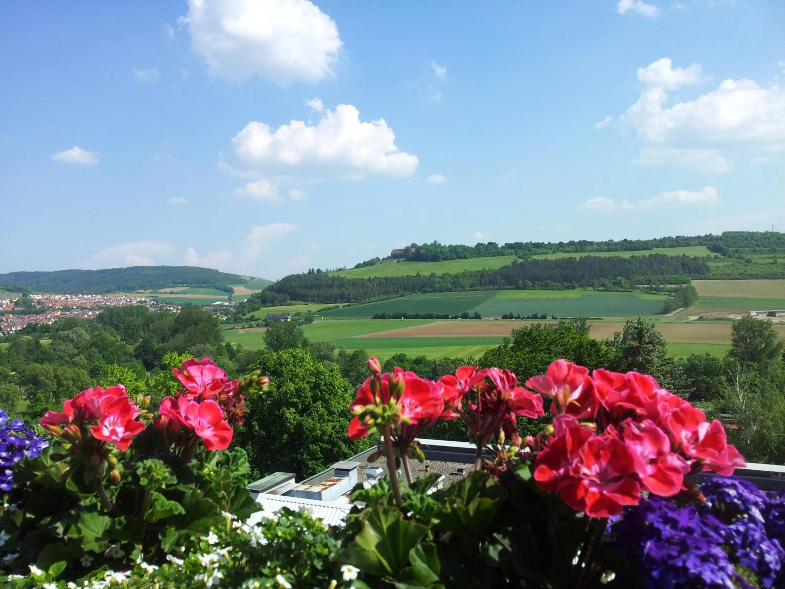 Other in Vitalhotel König am Park