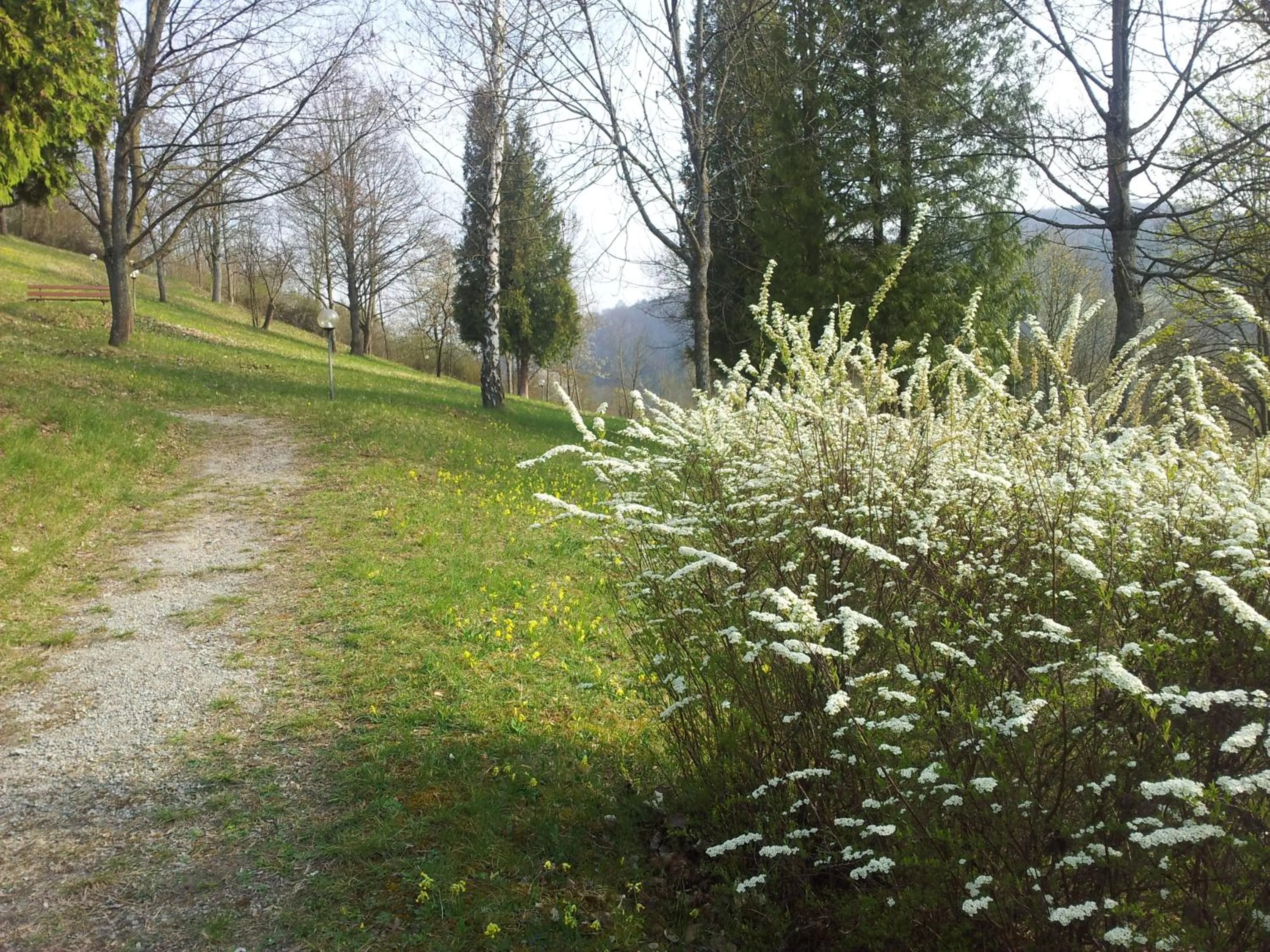 Property building in Vitalhotel König am Park