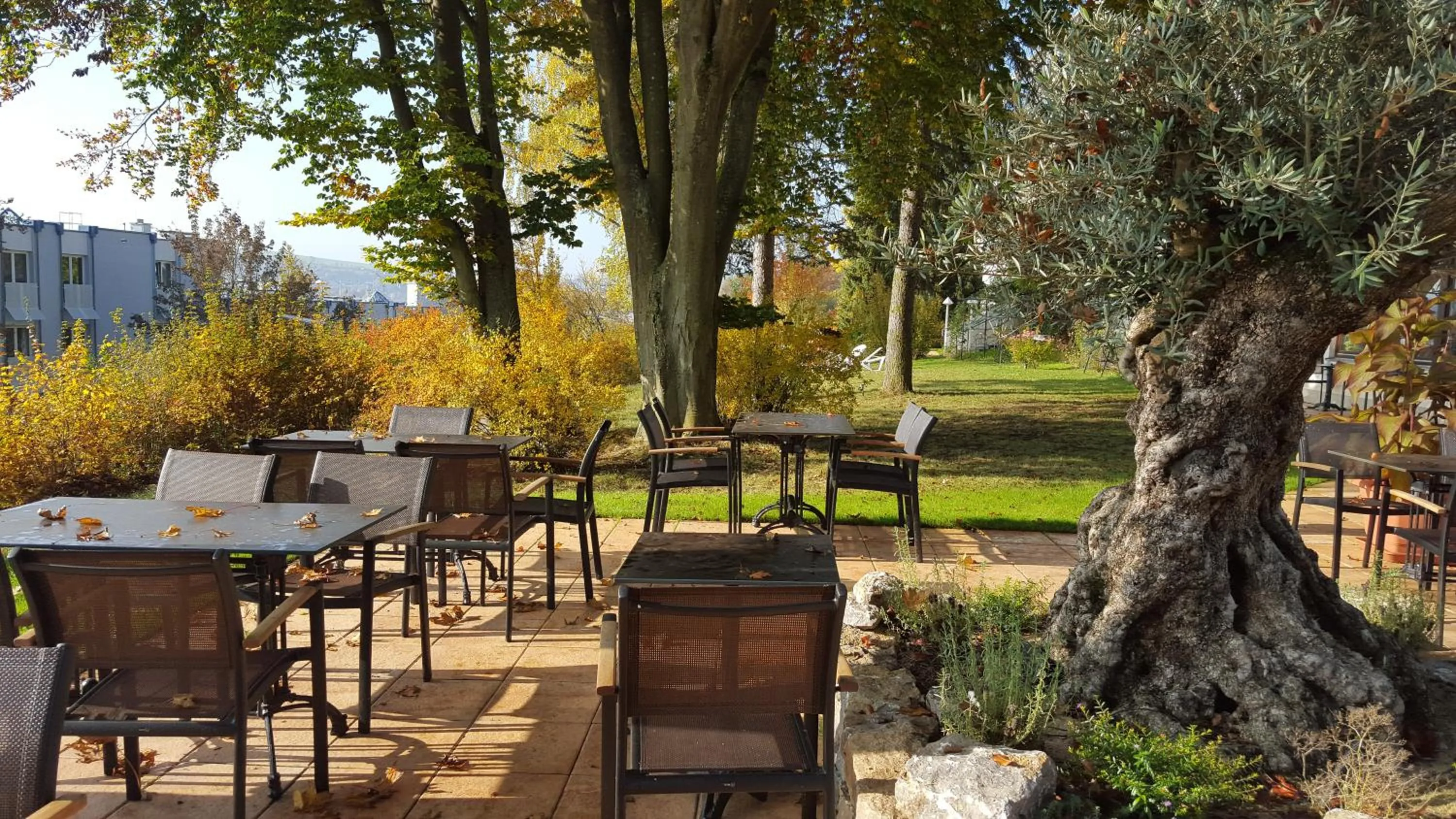 Property building in Vitalhotel König am Park