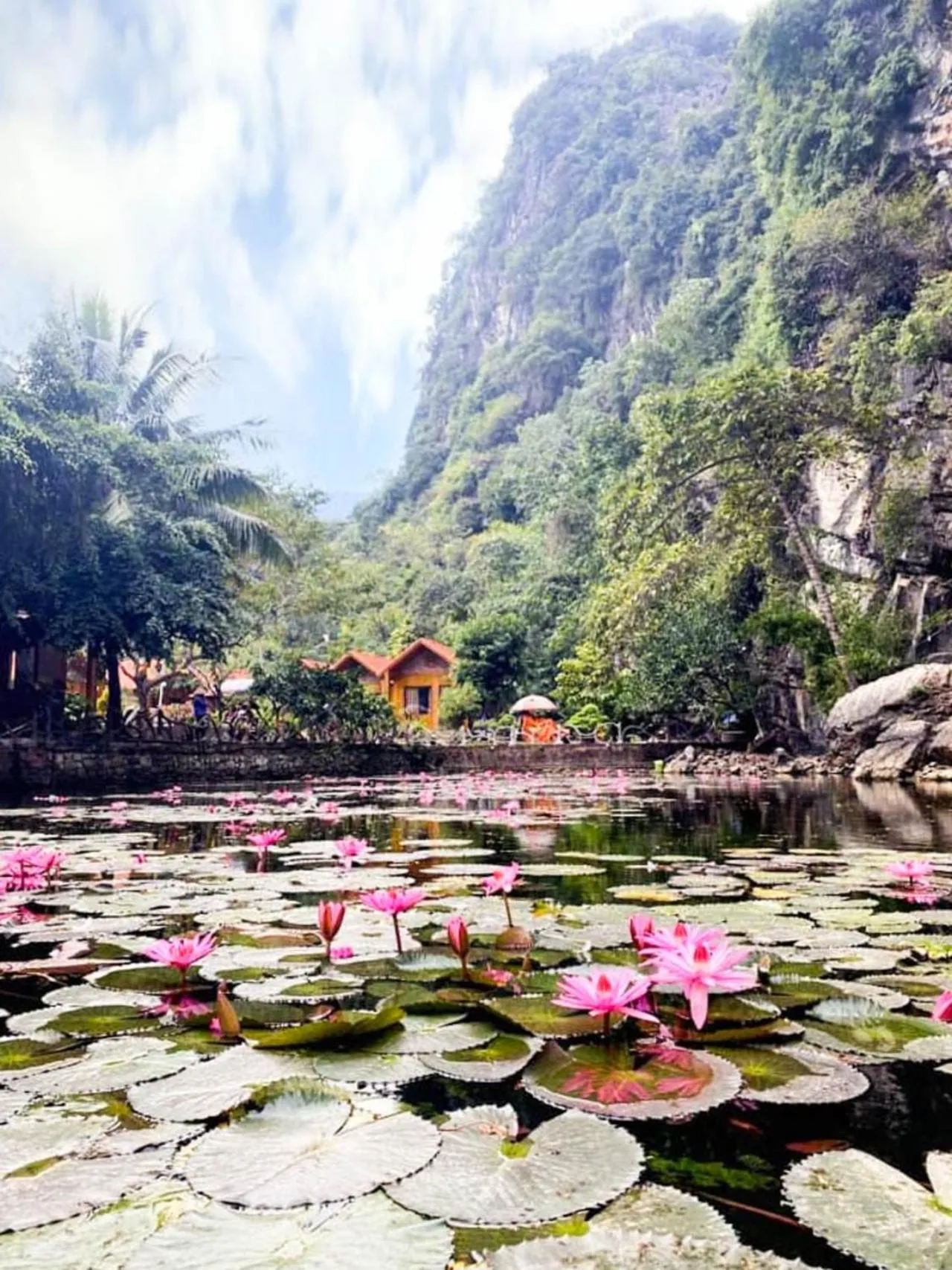 Natural landscape in Tam Coc Rocky Bungalow