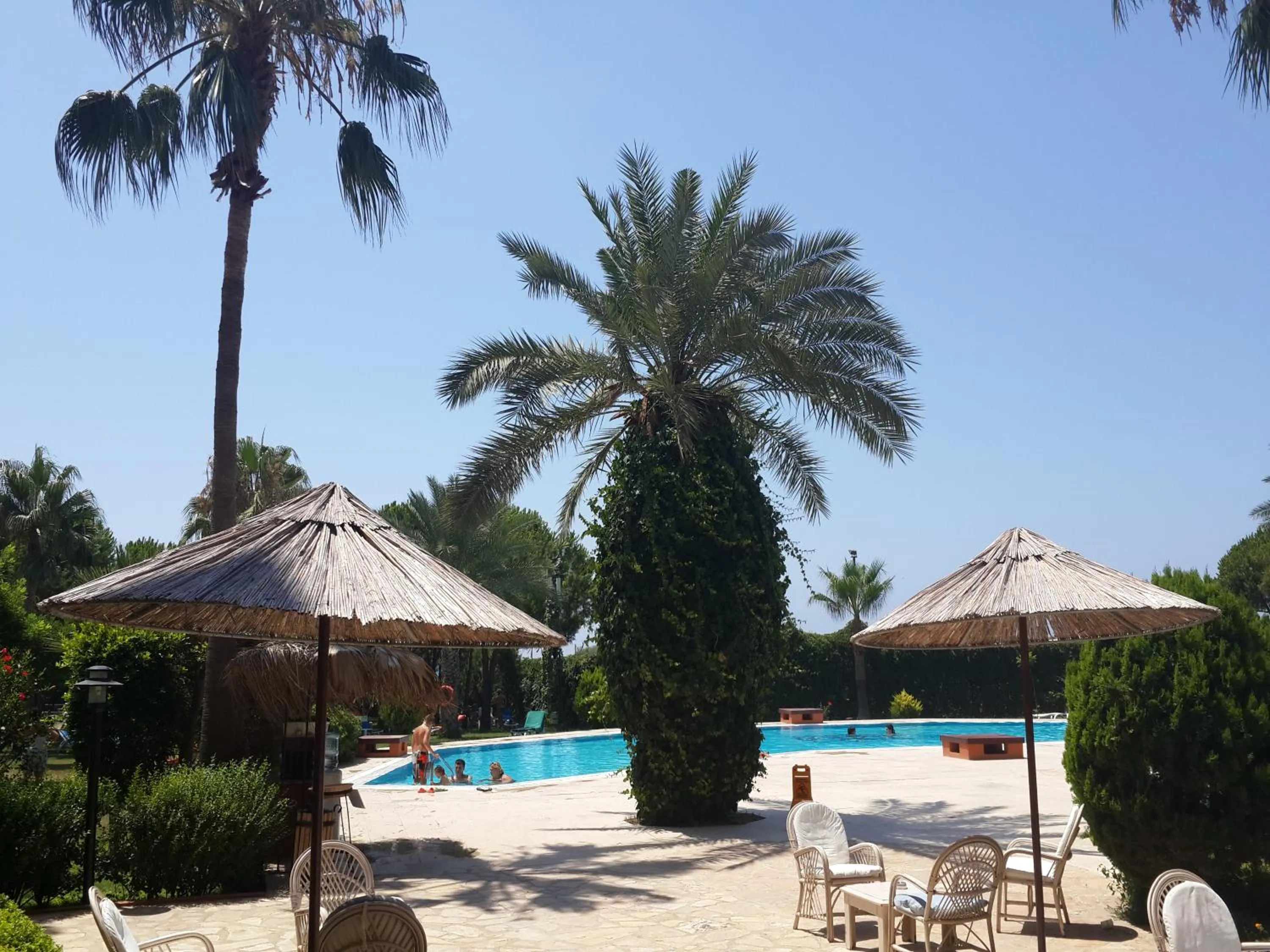 Pool view in Club Turtas Beach - All Inclusive