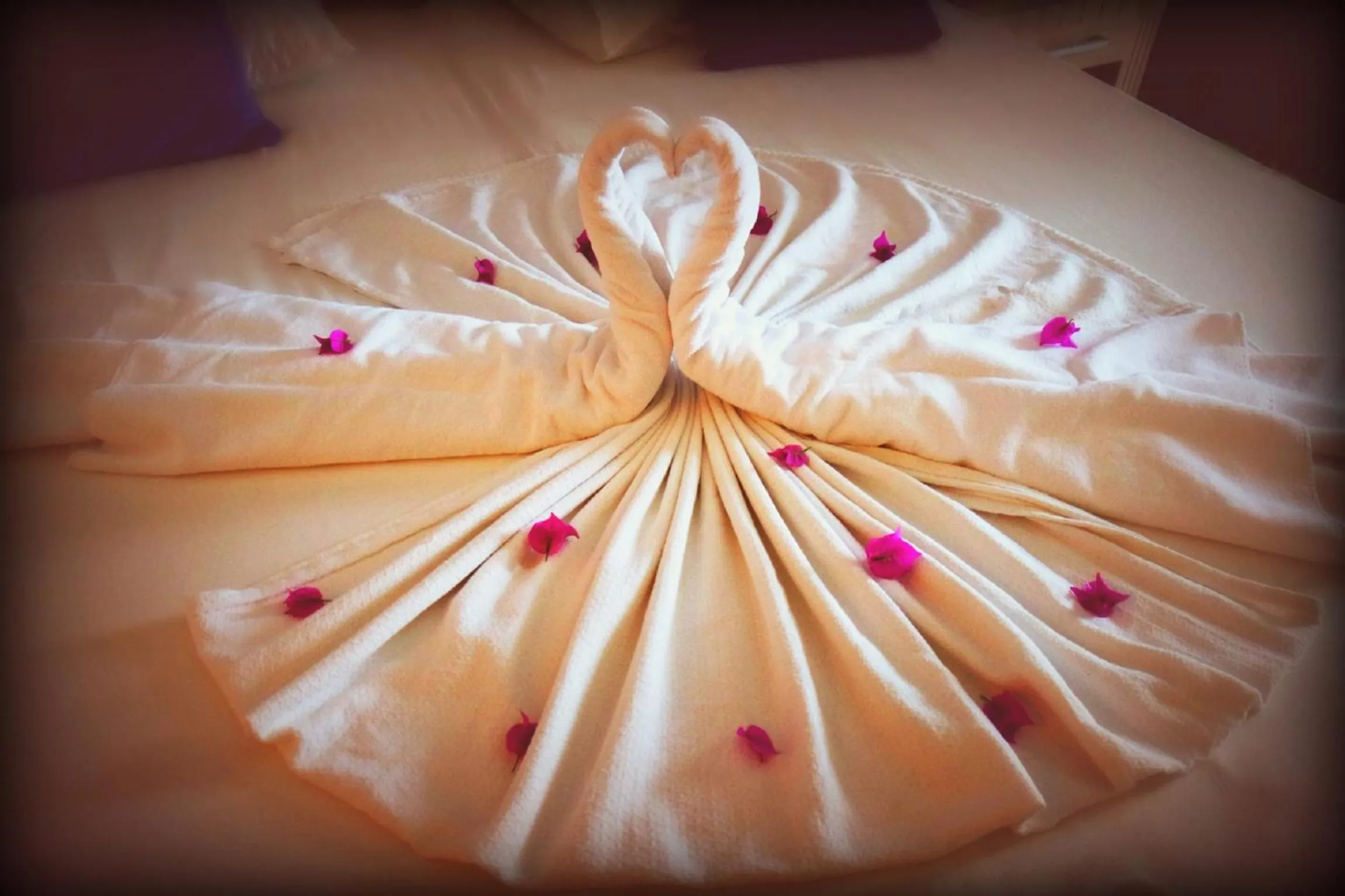 Bed in Club Turtas Beach - All Inclusive