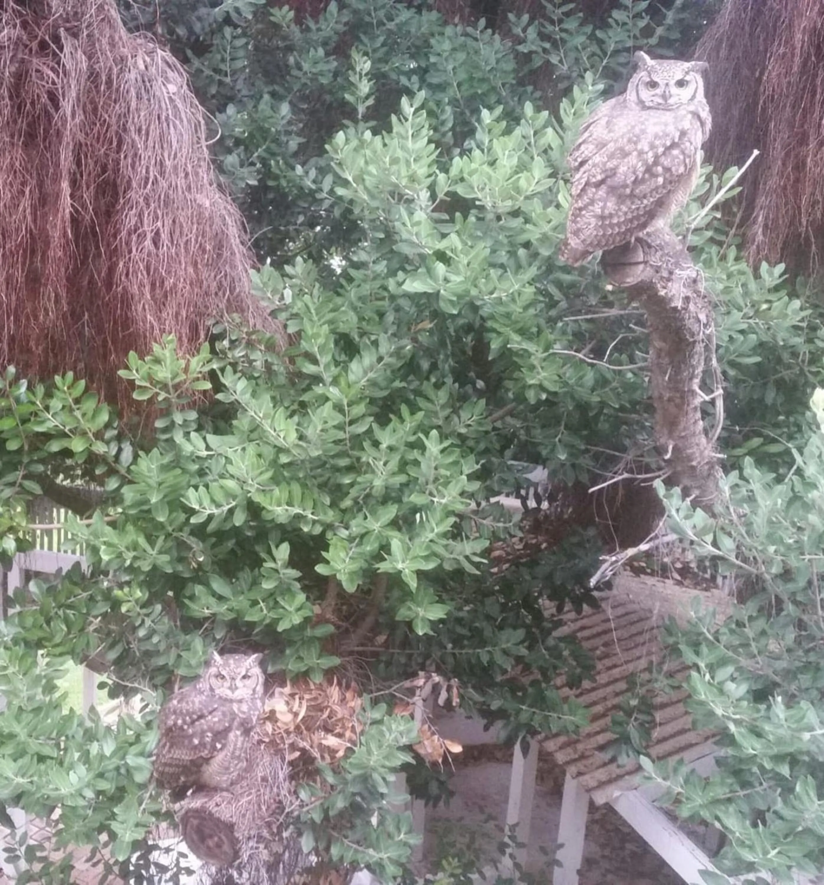 Garden in Port Del Mar Guesthouse