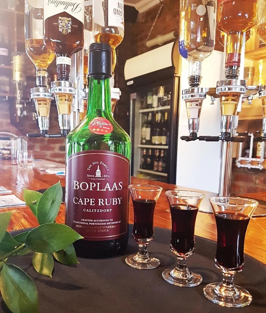 Lounge or bar in Port Del Mar Guesthouse