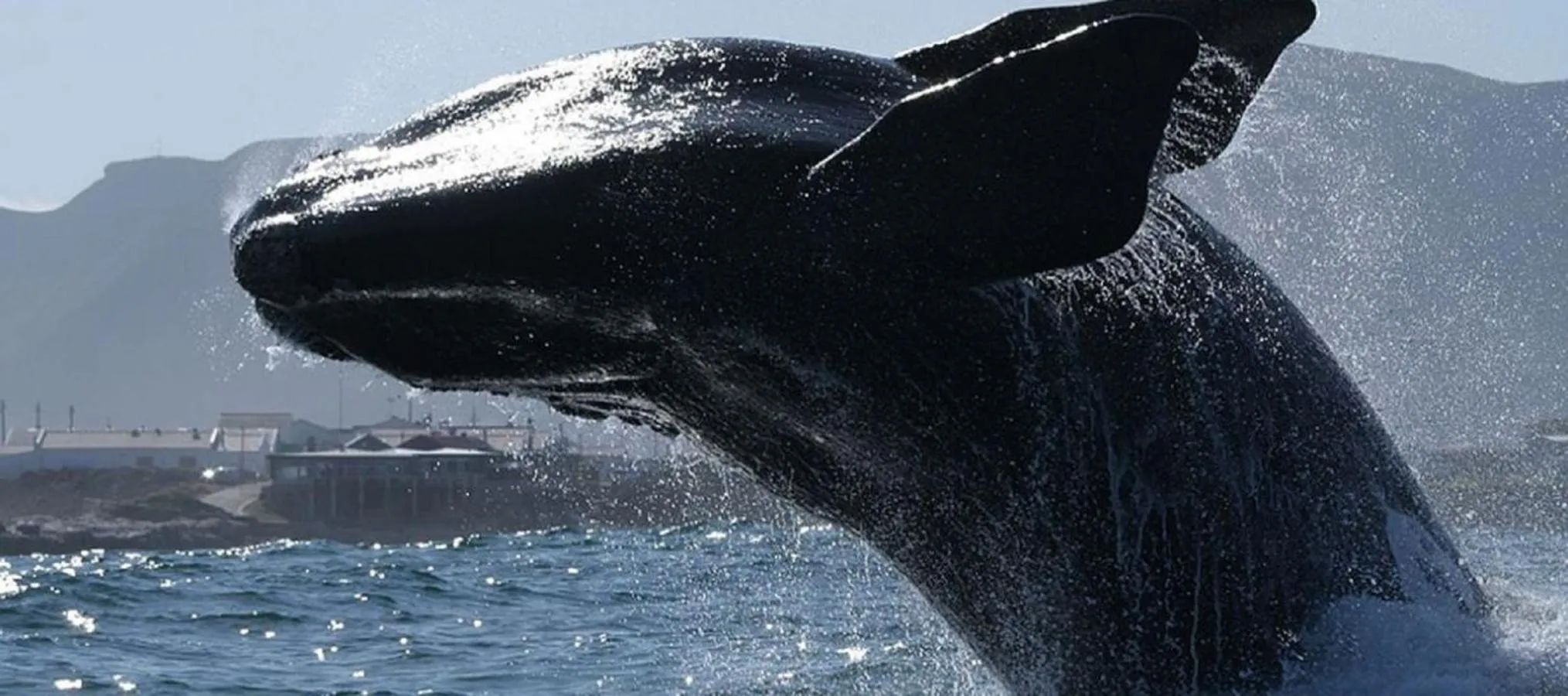 Off site in Port Del Mar Guesthouse