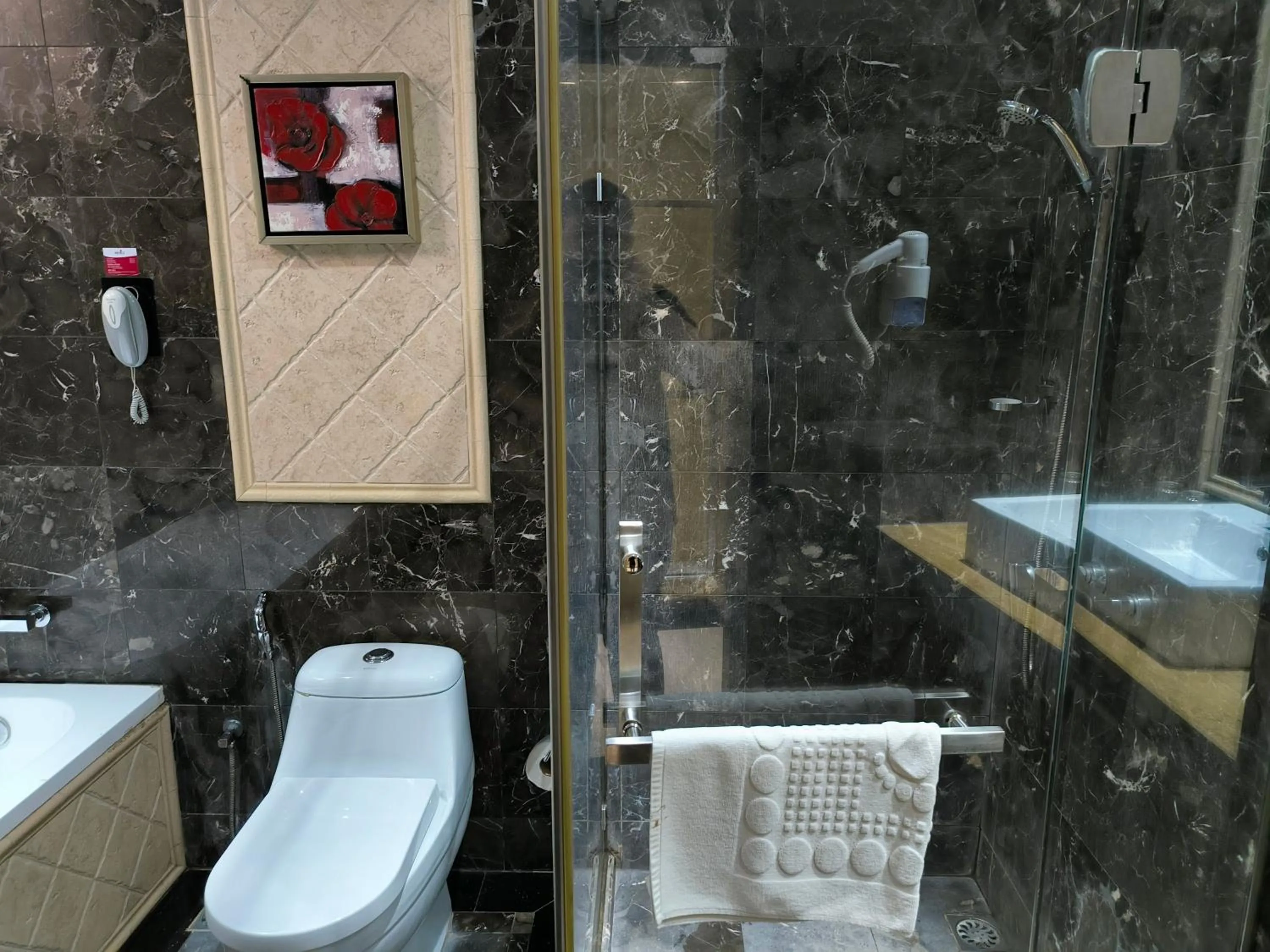 Shower in Meritz Hotel