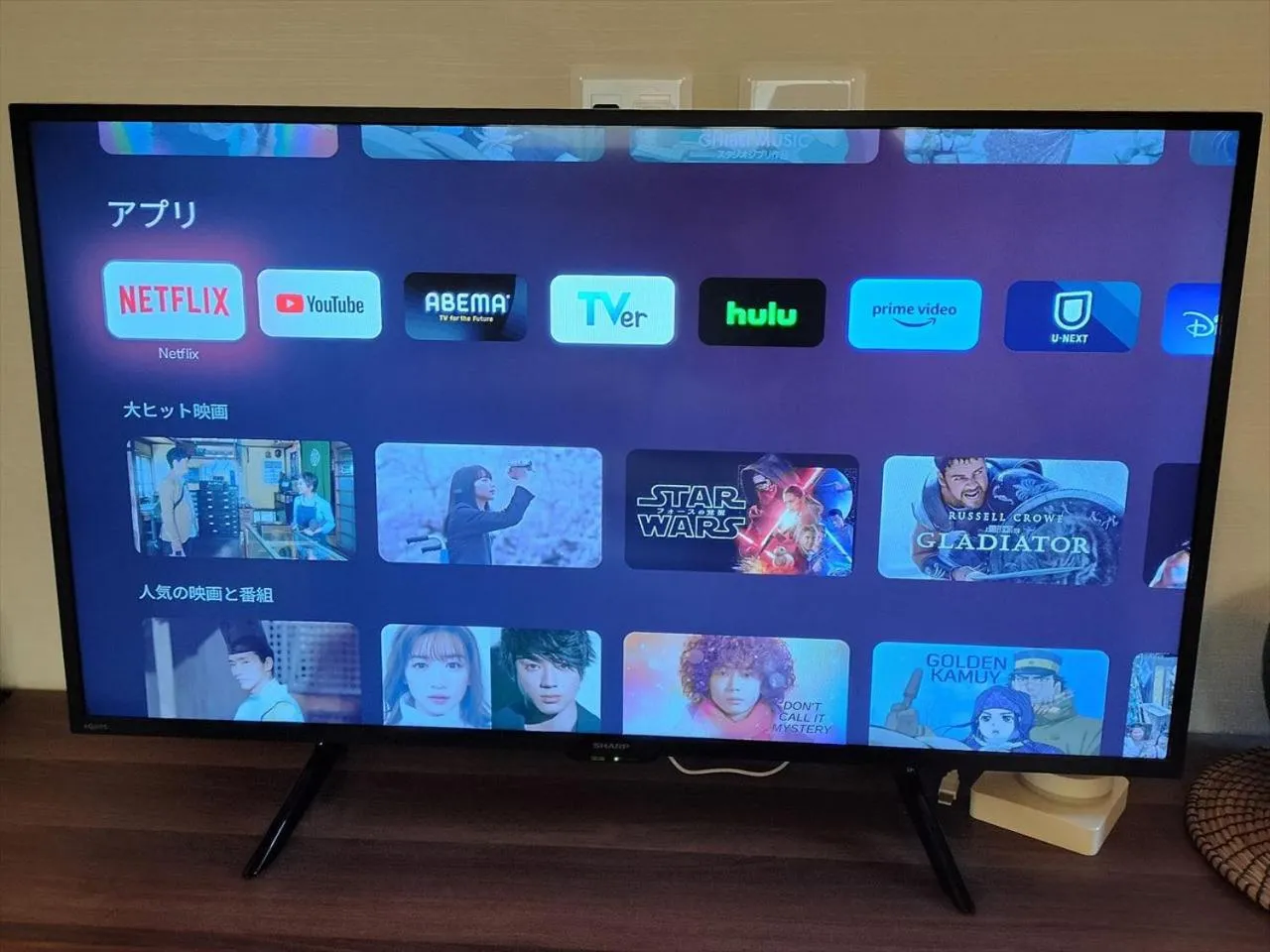 TV and multimedia in Nagomi House