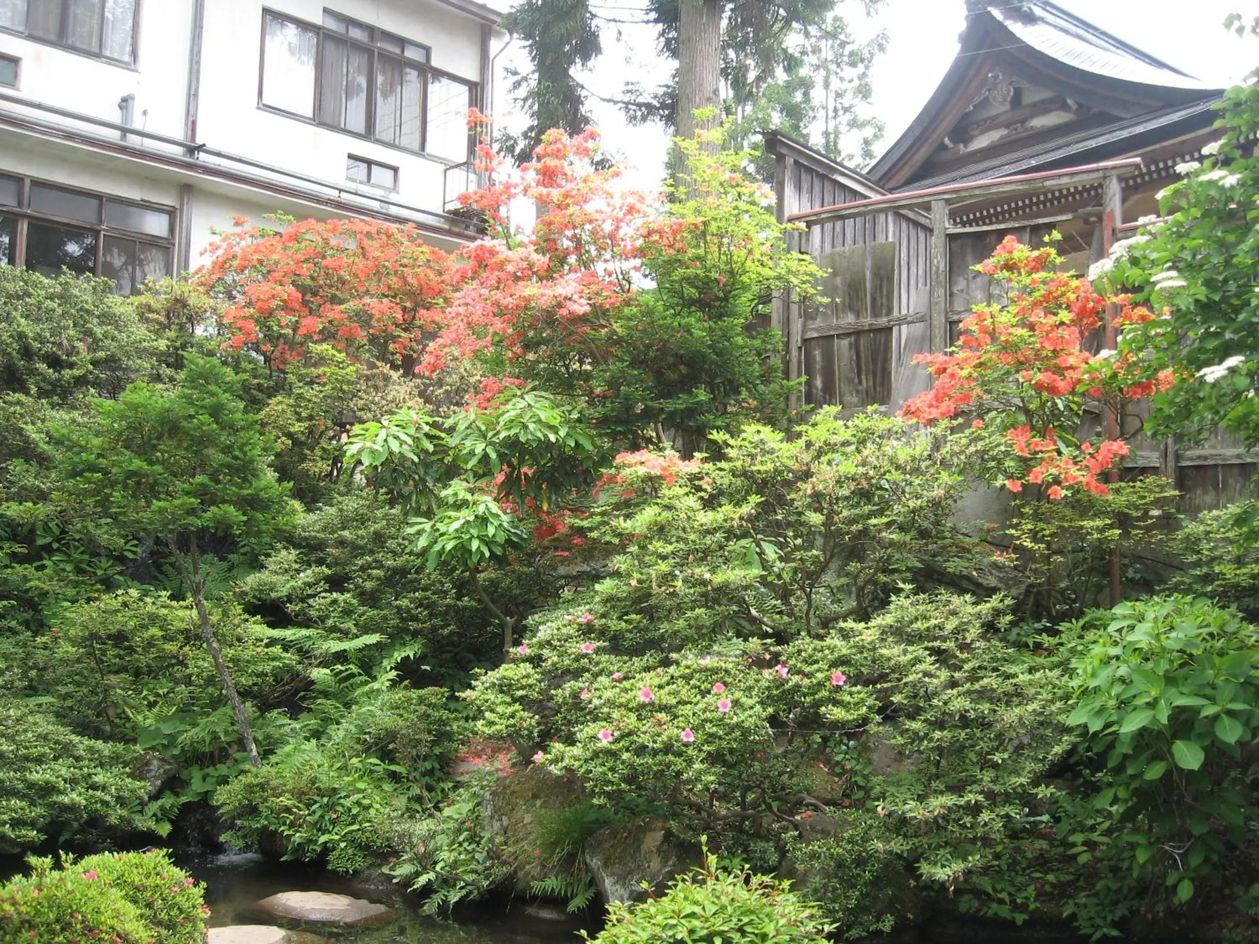 Property building in Maruka Ryokan