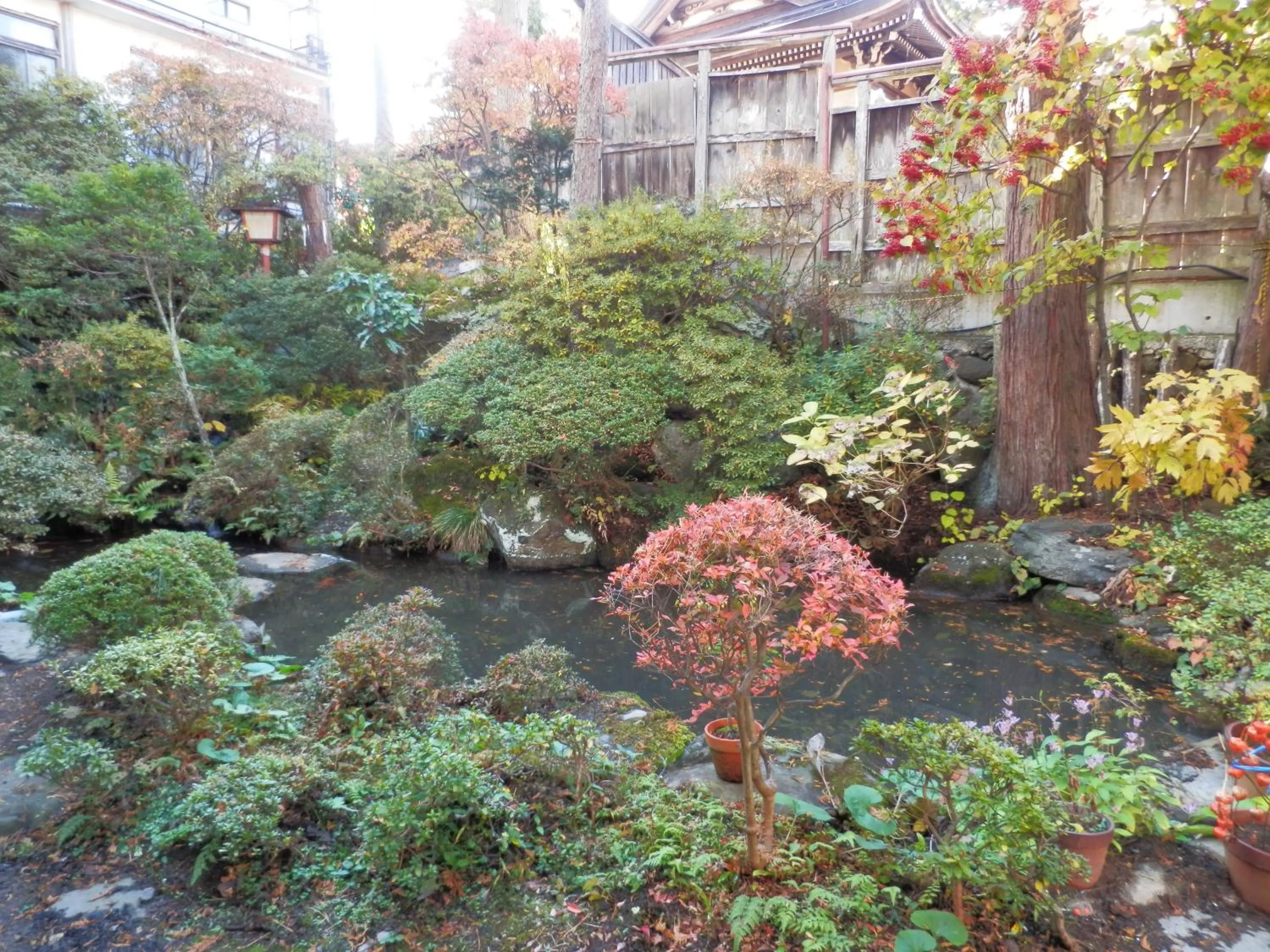 View (from property/room) in Maruka Ryokan