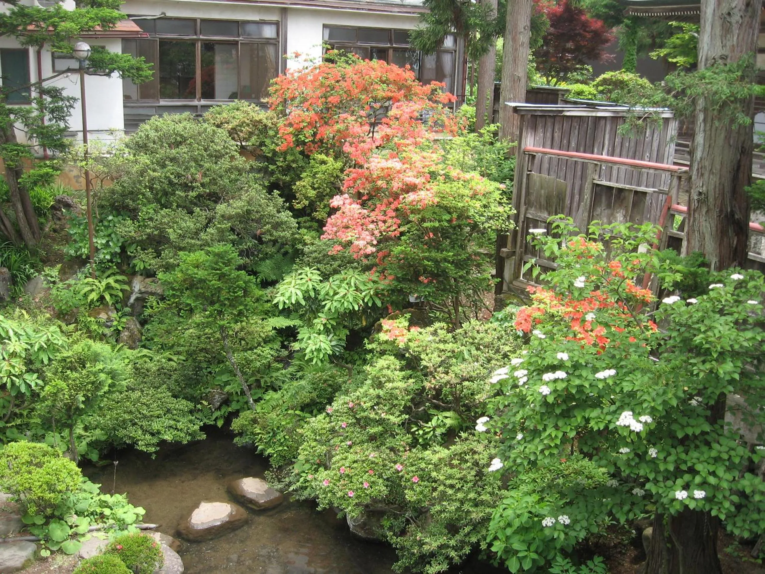 Spring in Maruka Ryokan