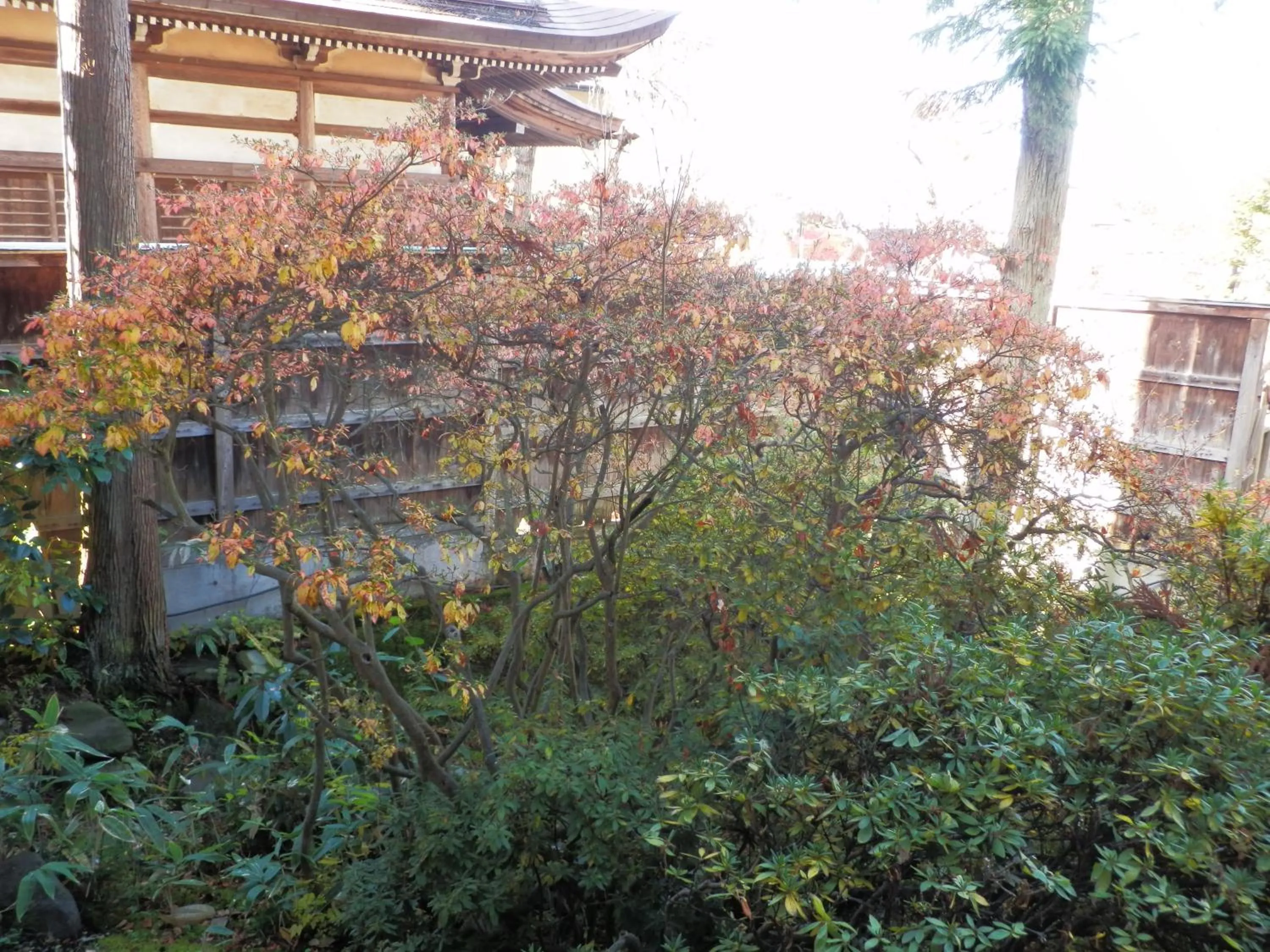 View (from property/room) in Maruka Ryokan