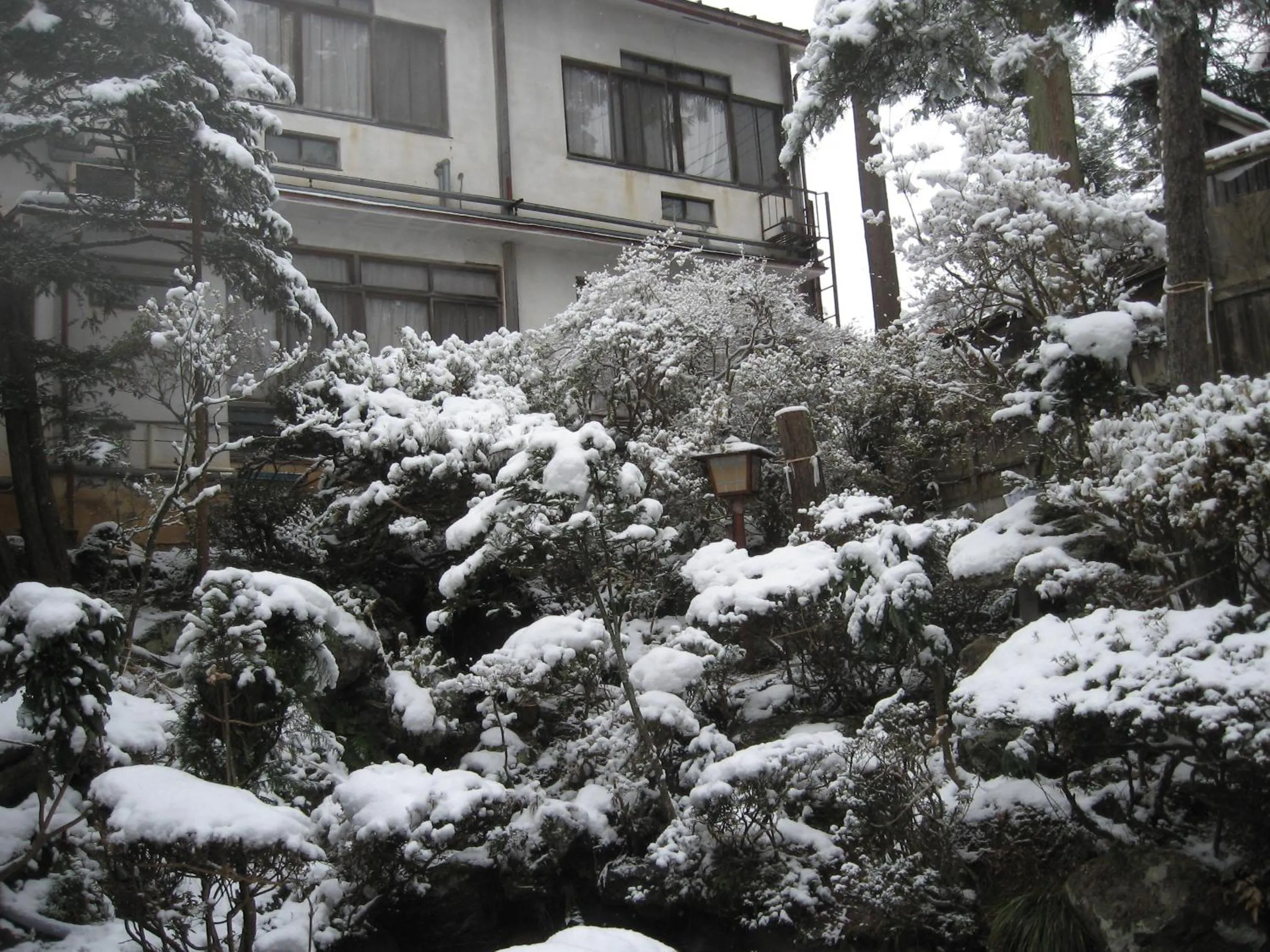 Winter in Maruka Ryokan