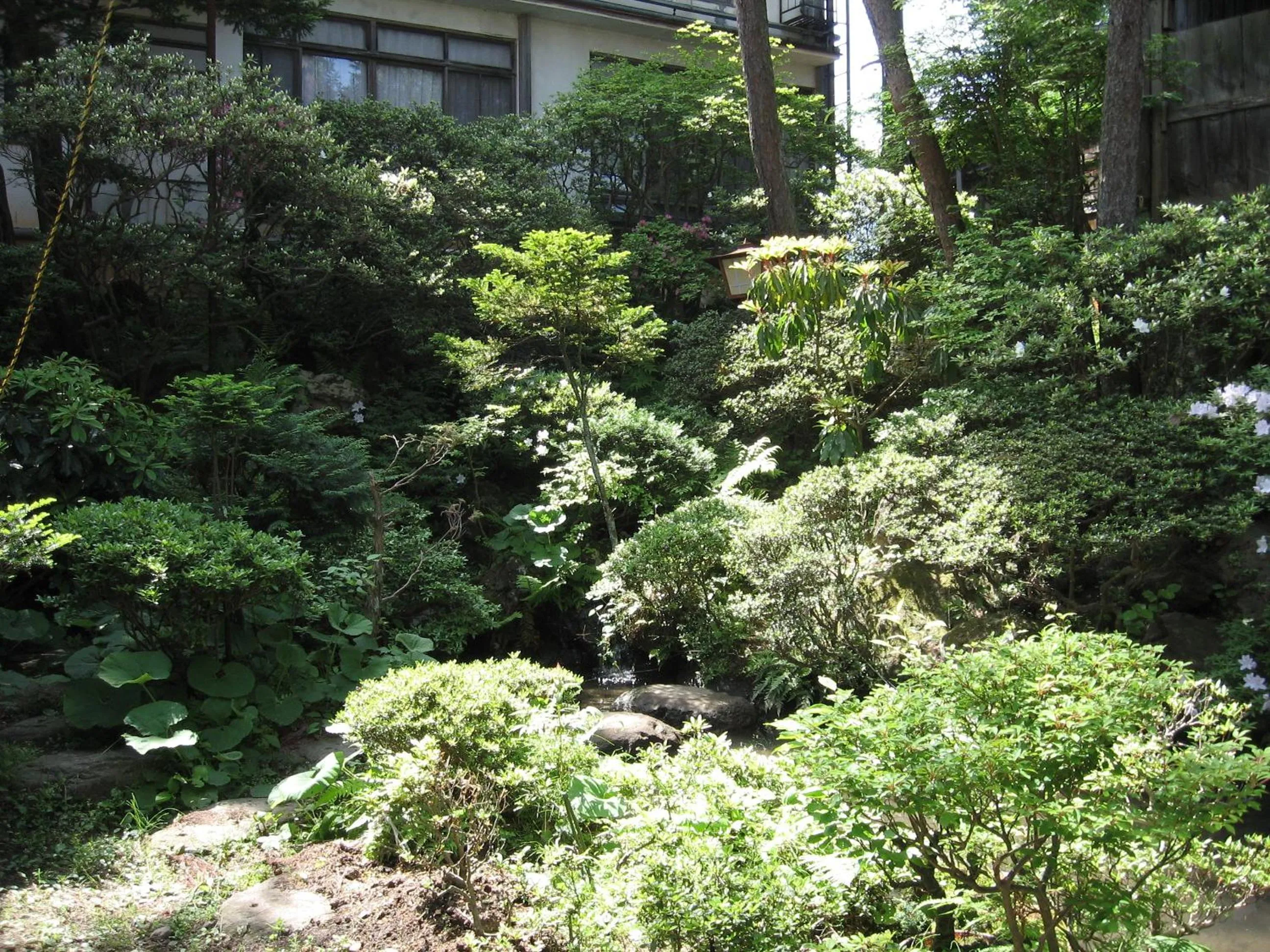 Garden in Maruka Ryokan