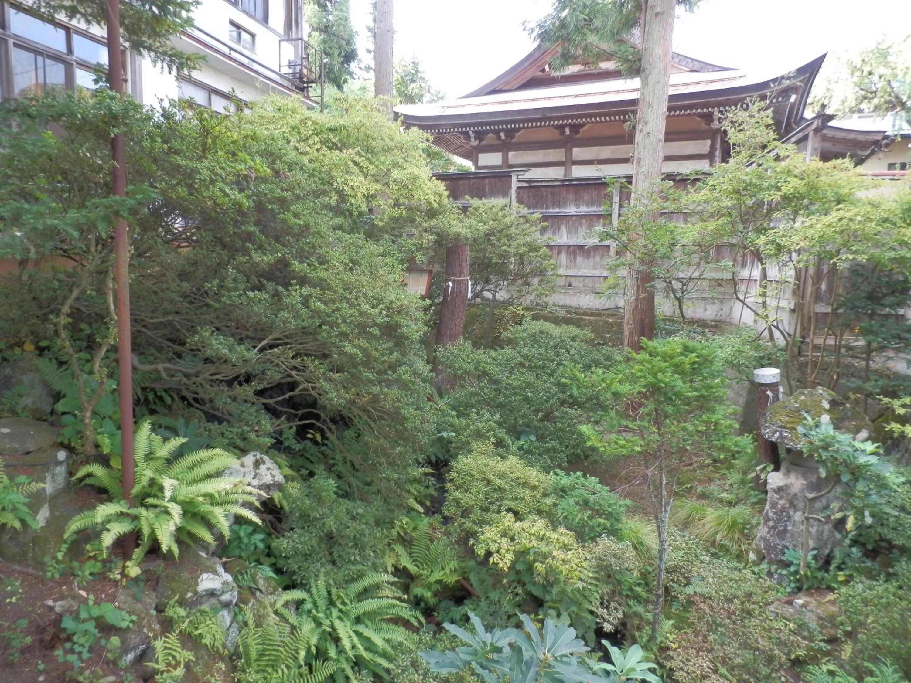 View (from property/room) in Maruka Ryokan