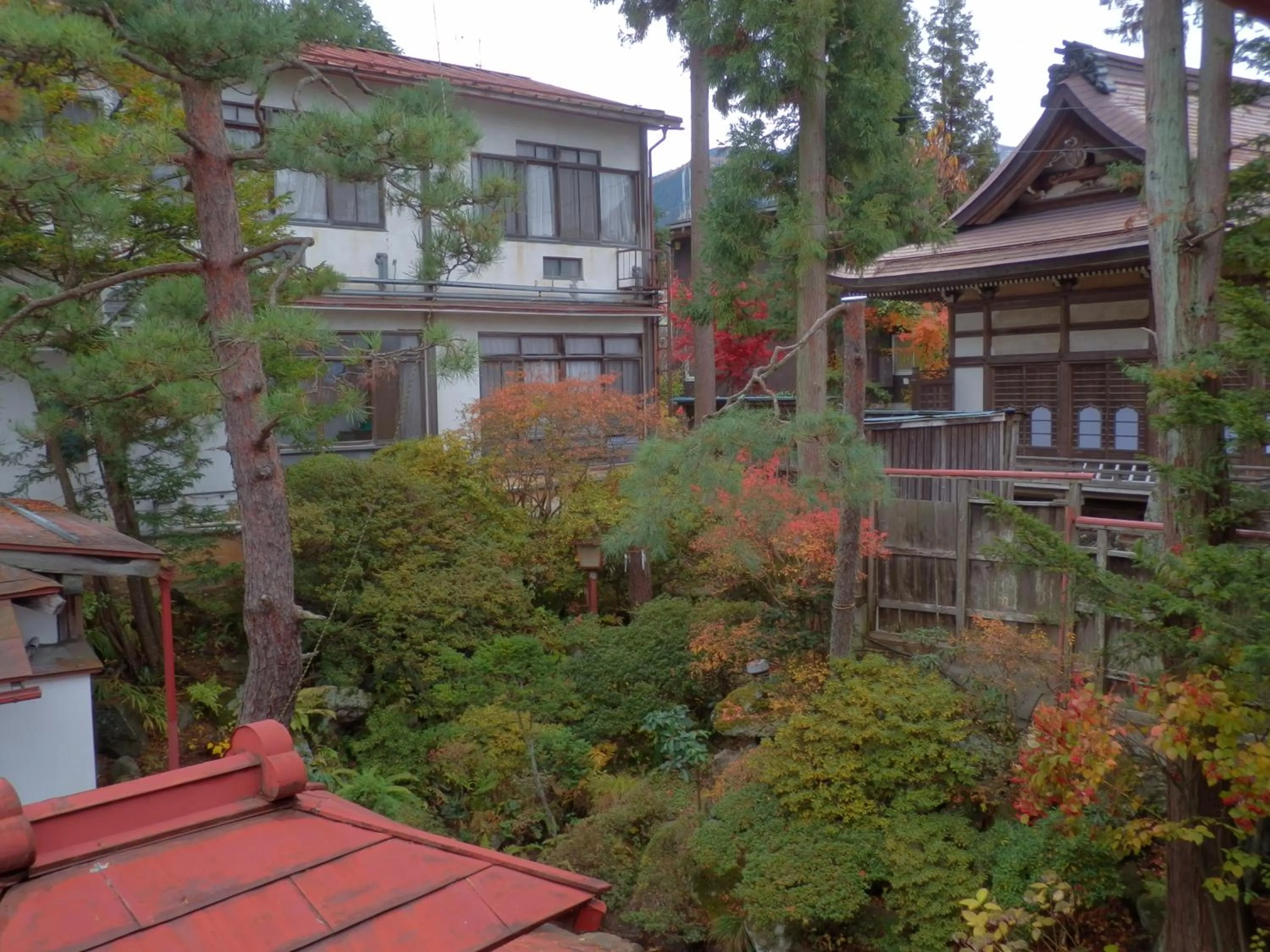Garden in Maruka Ryokan