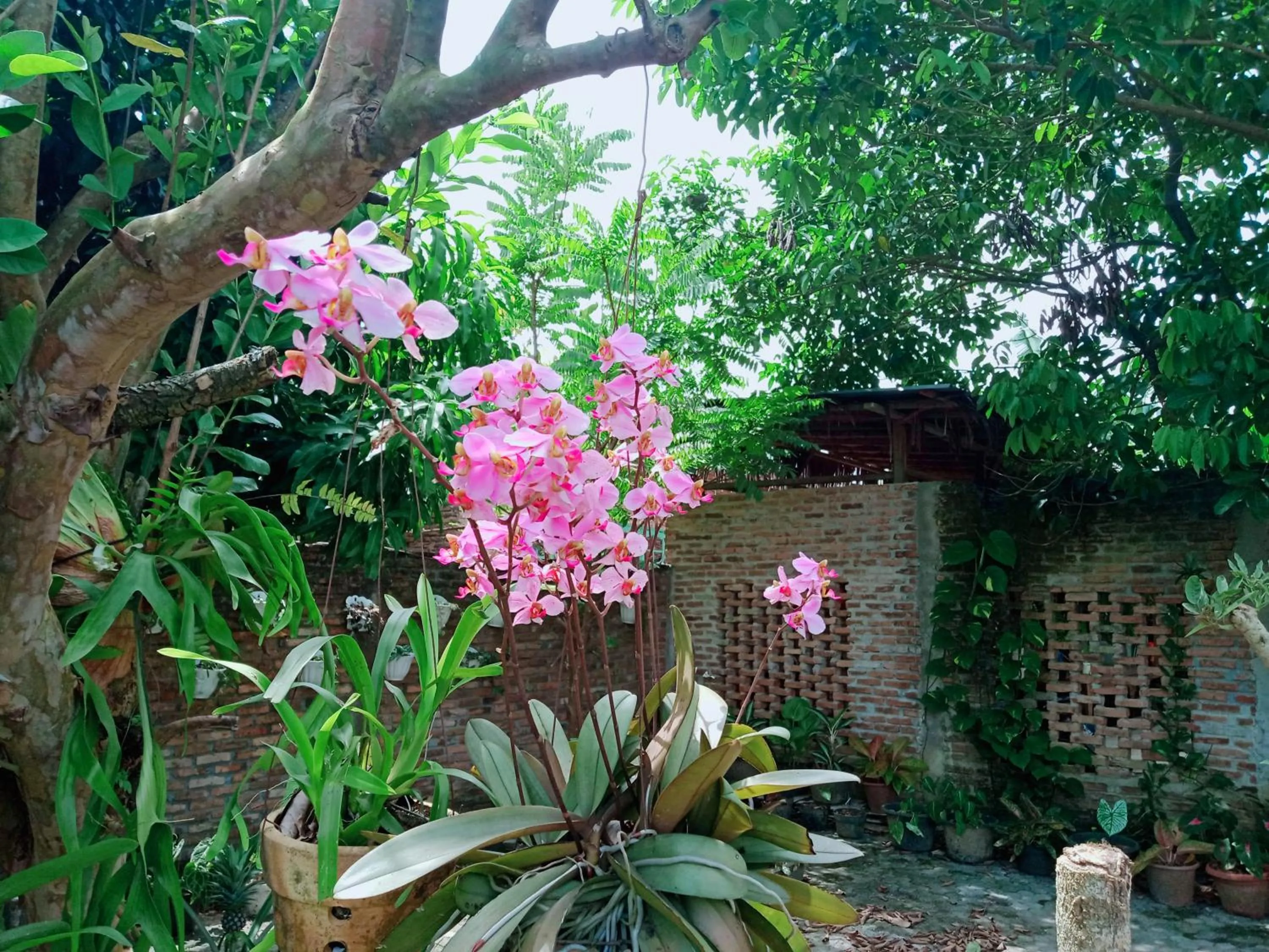 Day in Bua Guest House