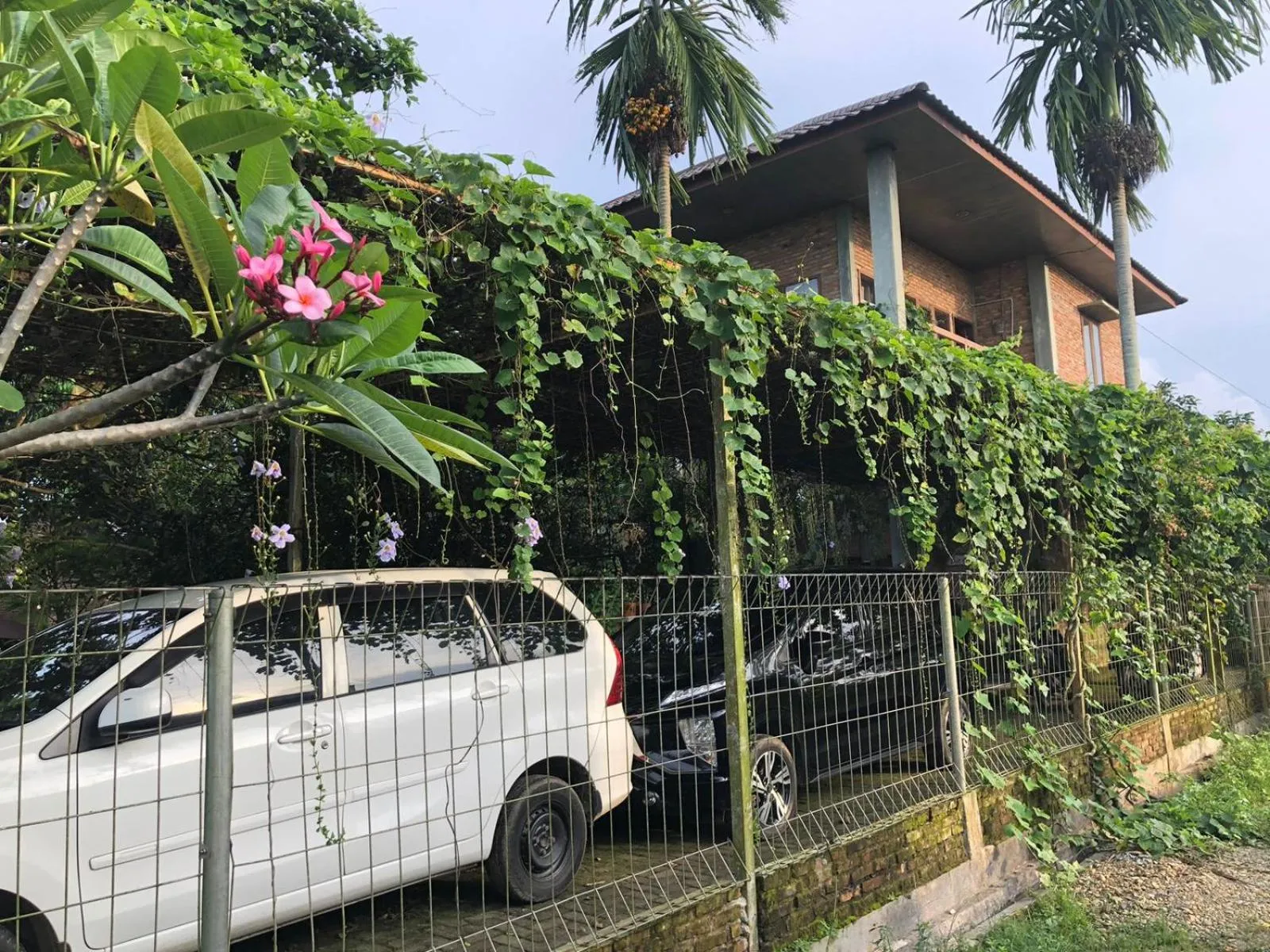 Garden in Bua Guest House