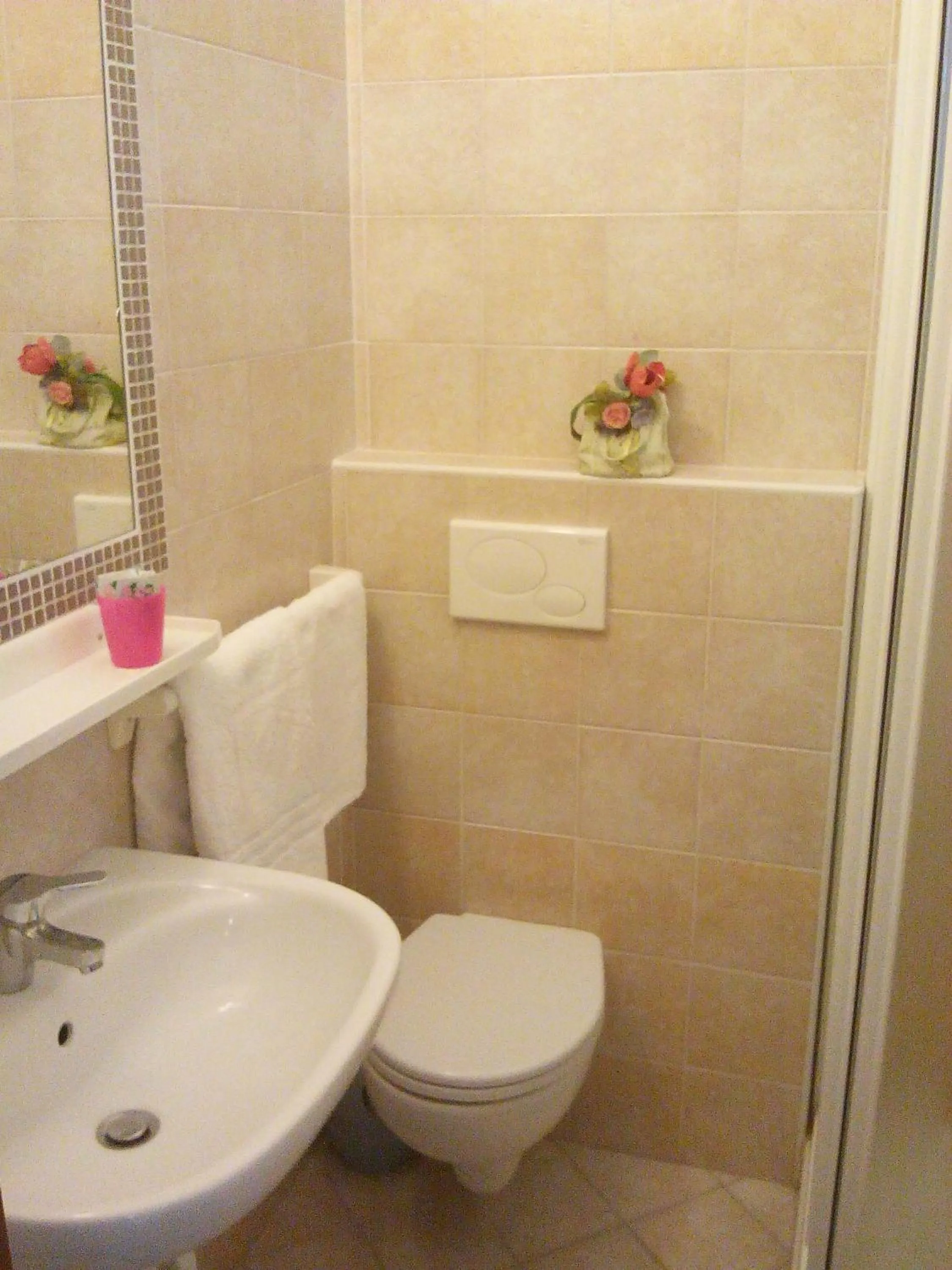 Bathroom in Hotel Madrid