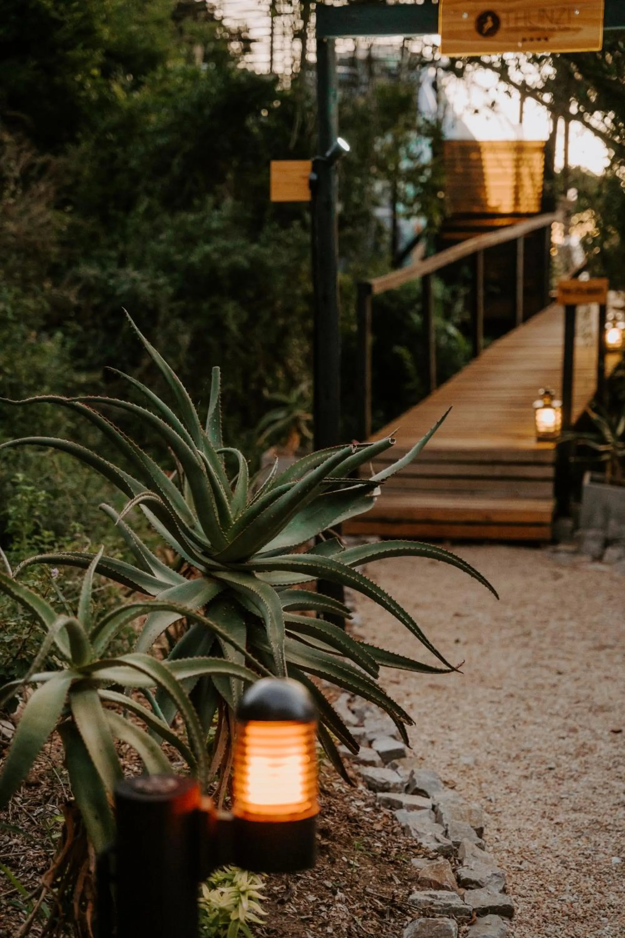 Natural landscape in Thunzi Bush Lodge