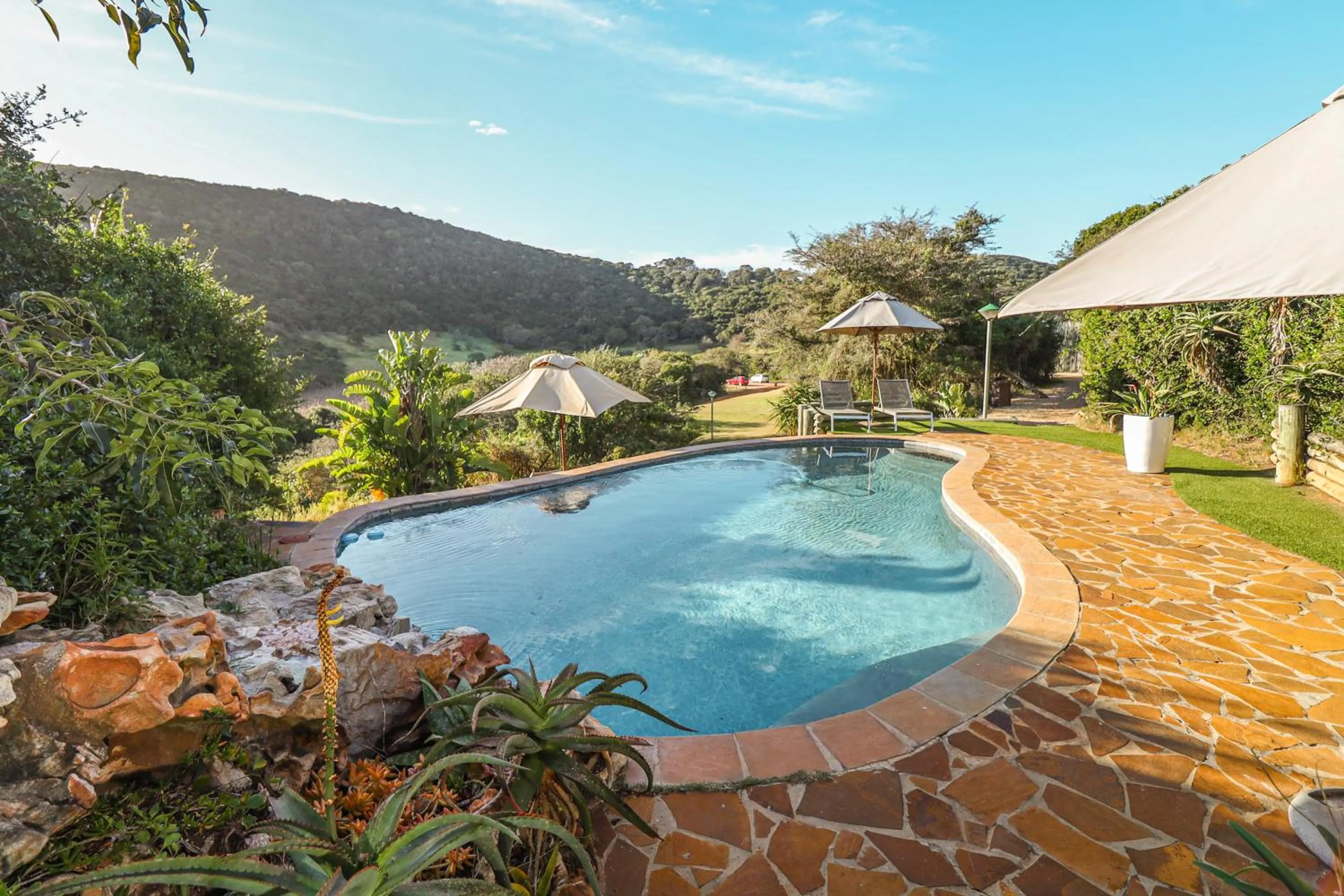 Spring in Thunzi Bush Lodge