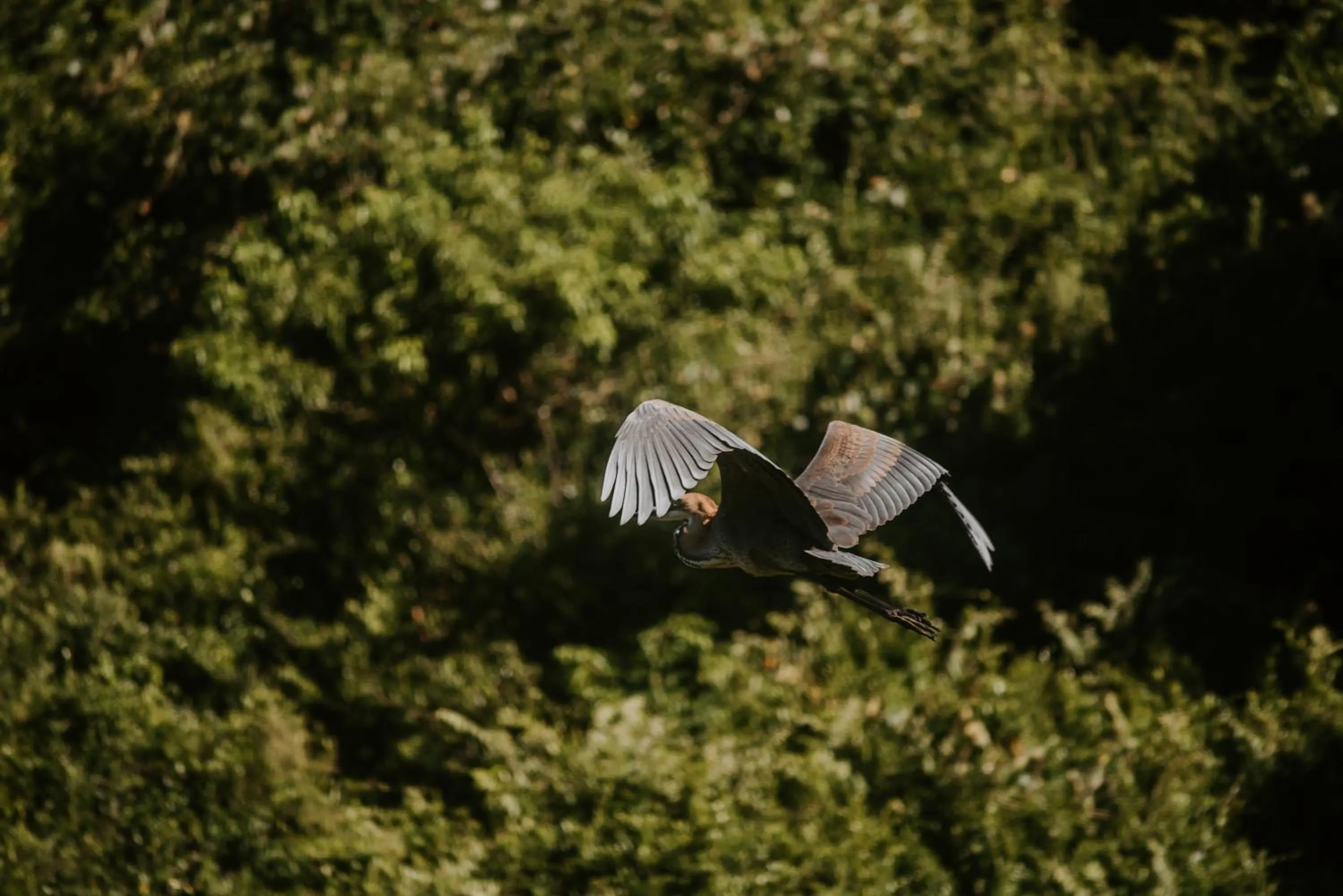 Natural landscape in Thunzi Bush Lodge