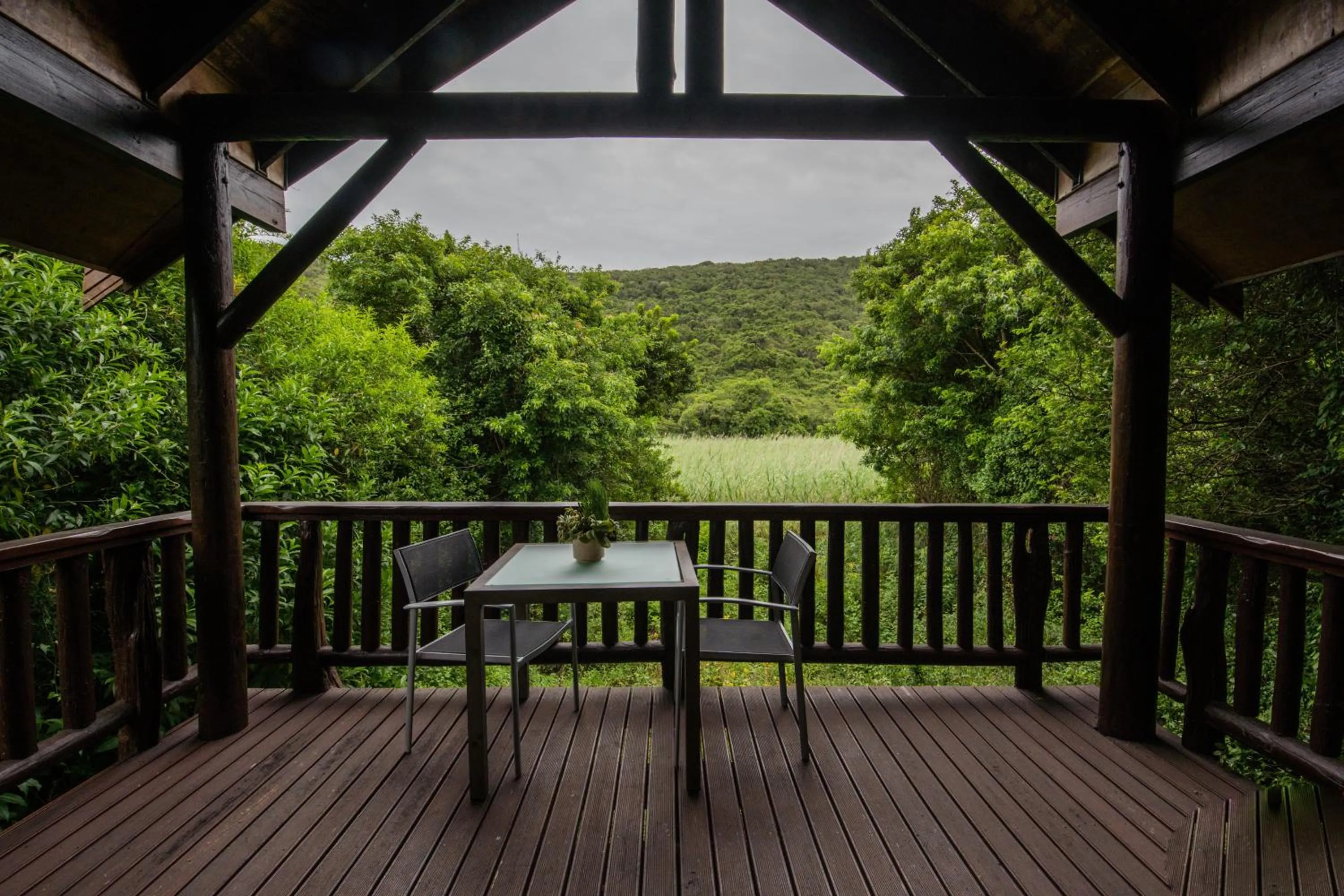 Natural landscape in Thunzi Bush Lodge