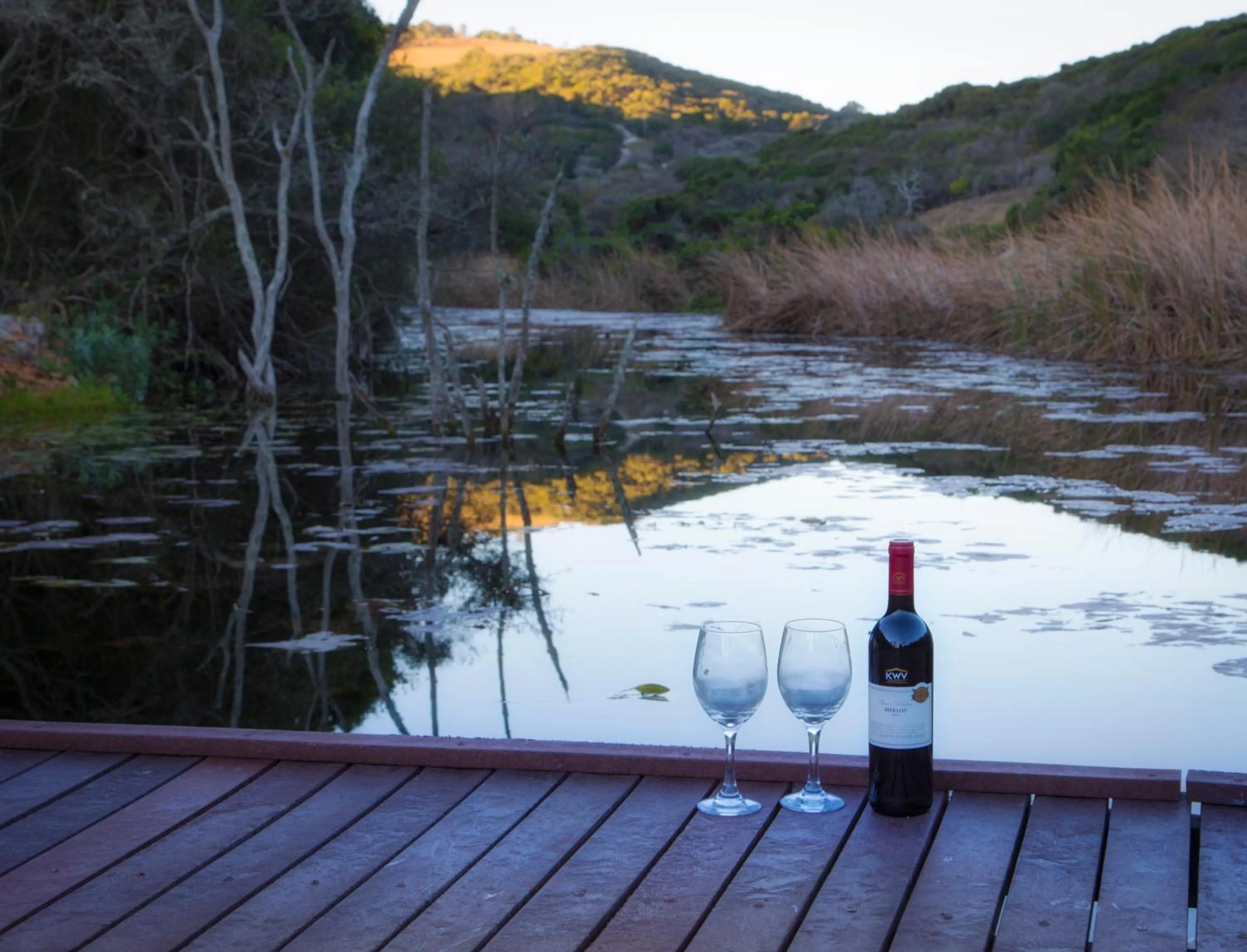 Natural landscape in Thunzi Bush Lodge